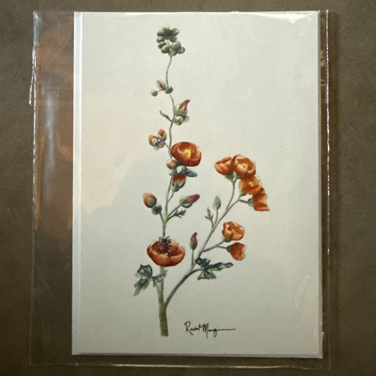 Watercolor Flora 4 Card Pack