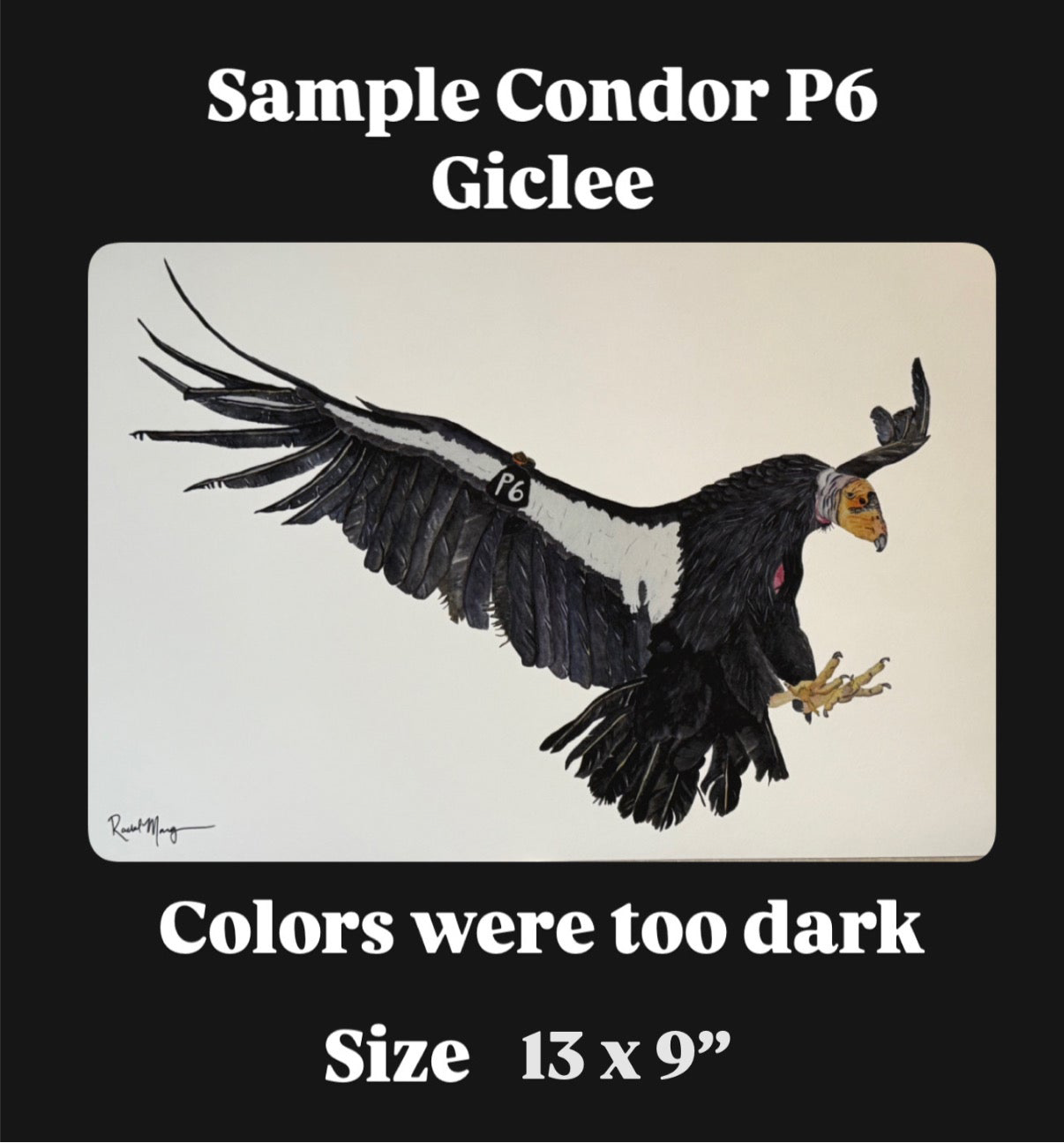 Sample Watercolor Giclee Prints