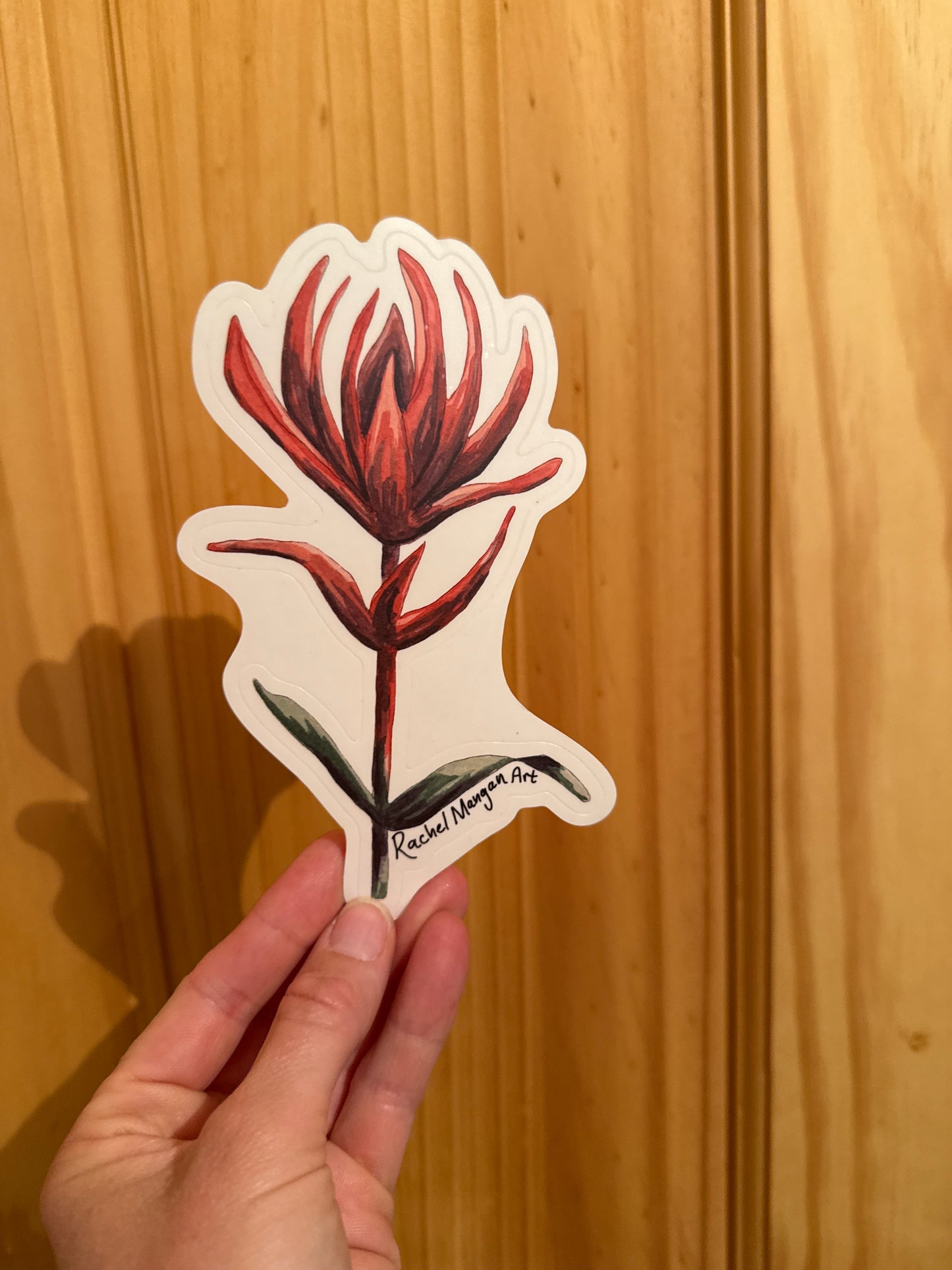 Red Paintbrush Sticker (Clear Background)
