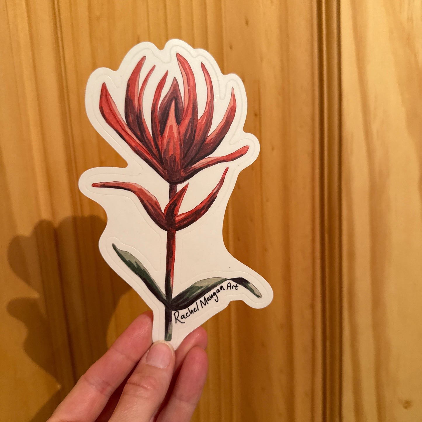 Red Paintbrush Sticker (Clear Background)