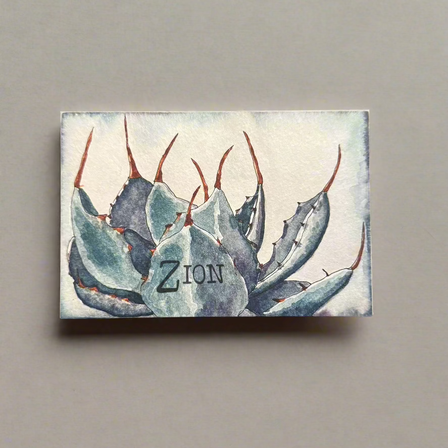 Artichoke Agave Postcard