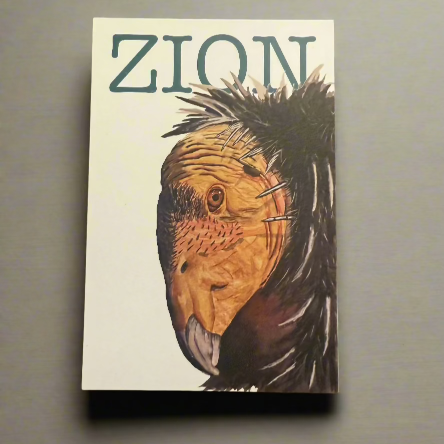 Condor Portrait Postcard