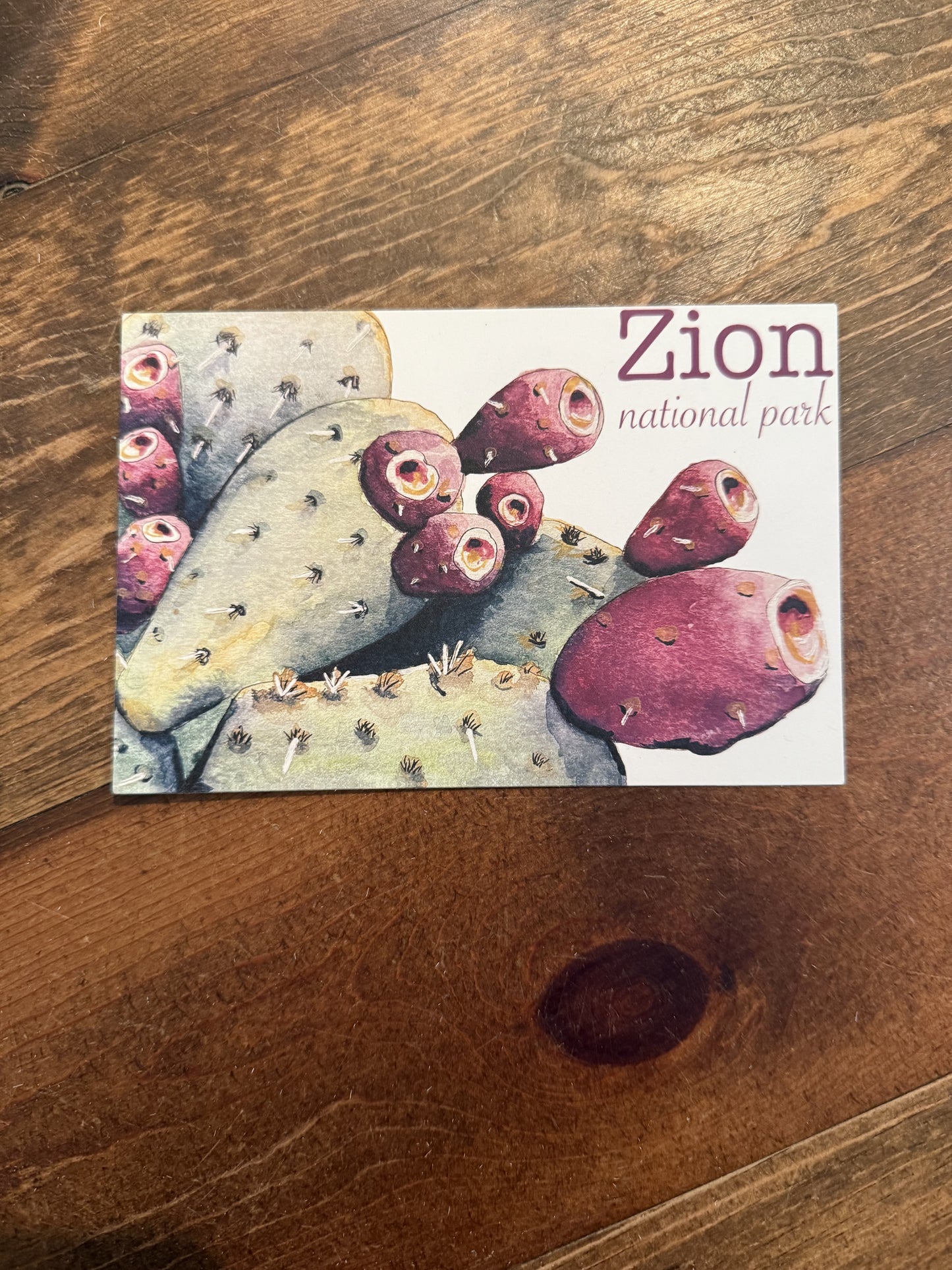 Prickly Pear Postcard