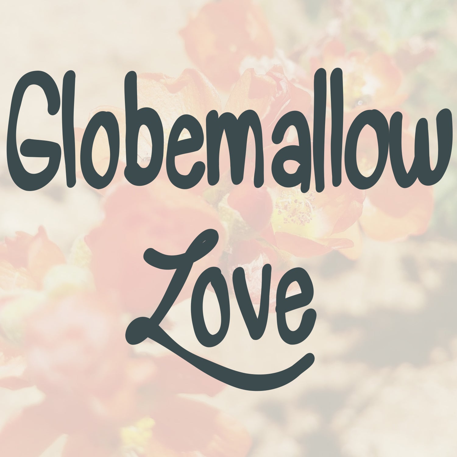 Globemallow Love