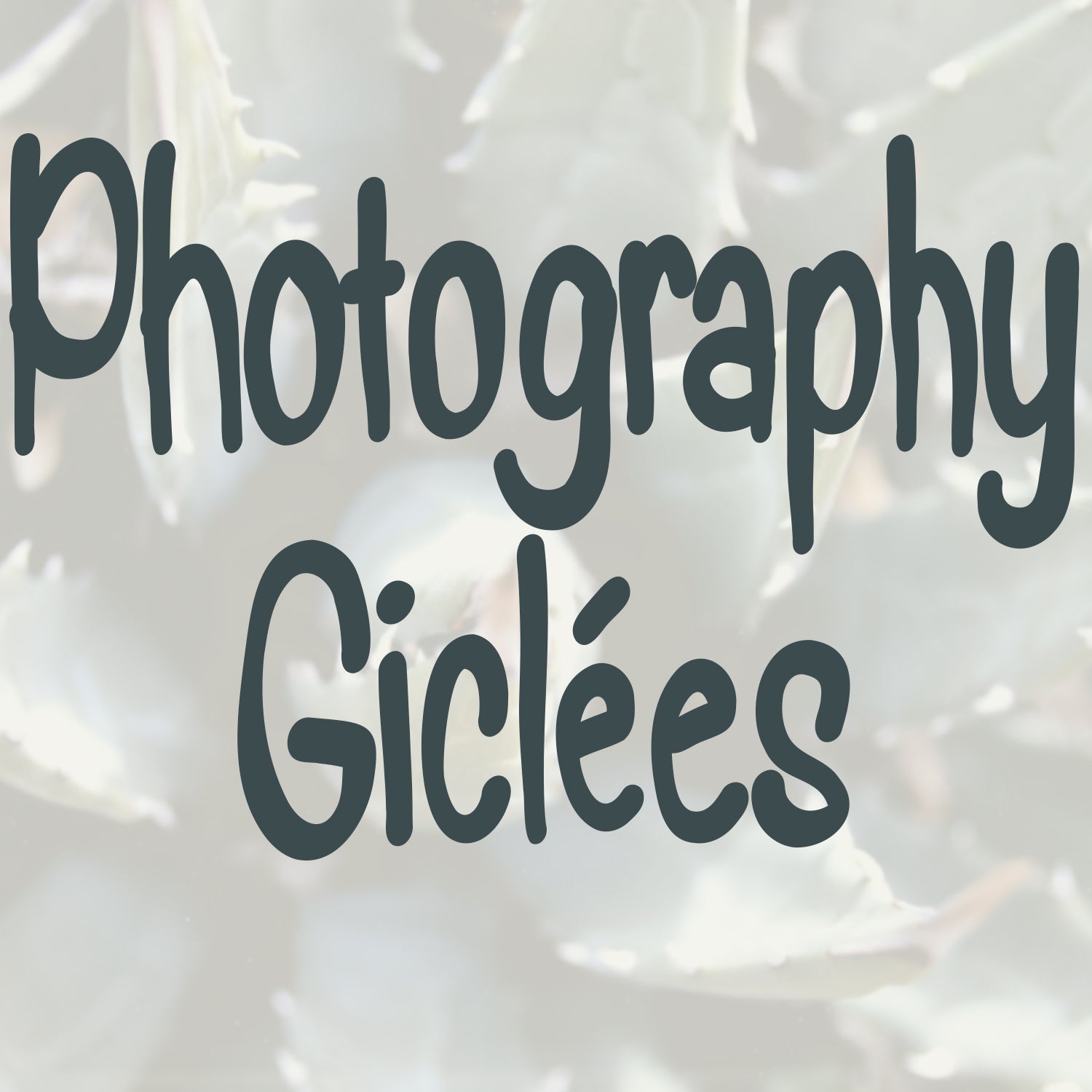 Photography Giclées