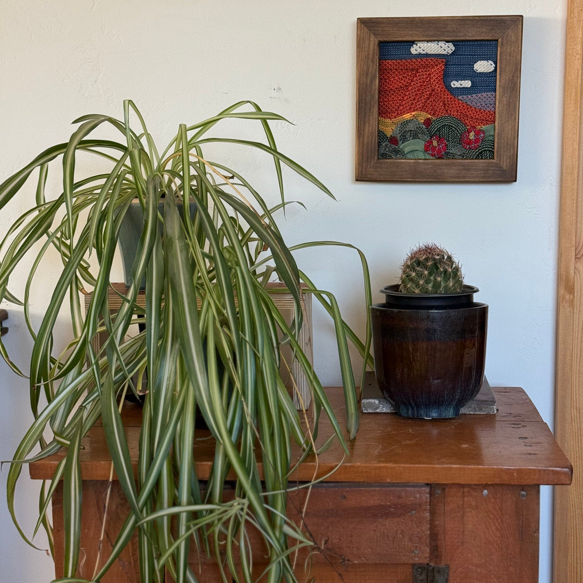Claret Cup and Mesa Mini Rope Art