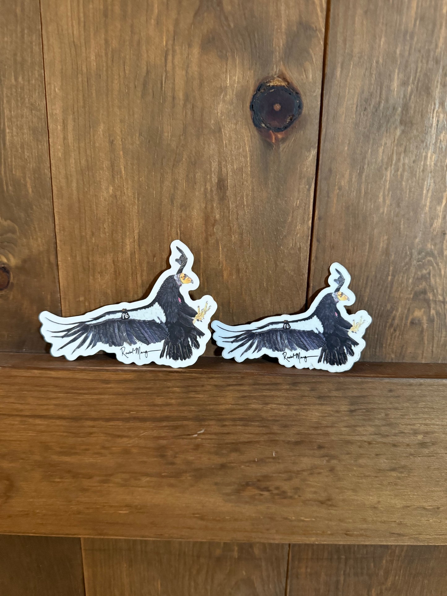 Condor P6 Sticker