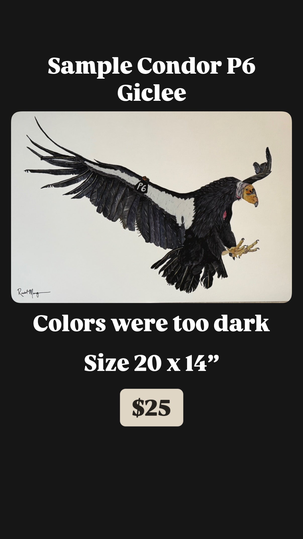 Sample Watercolor Giclee Prints