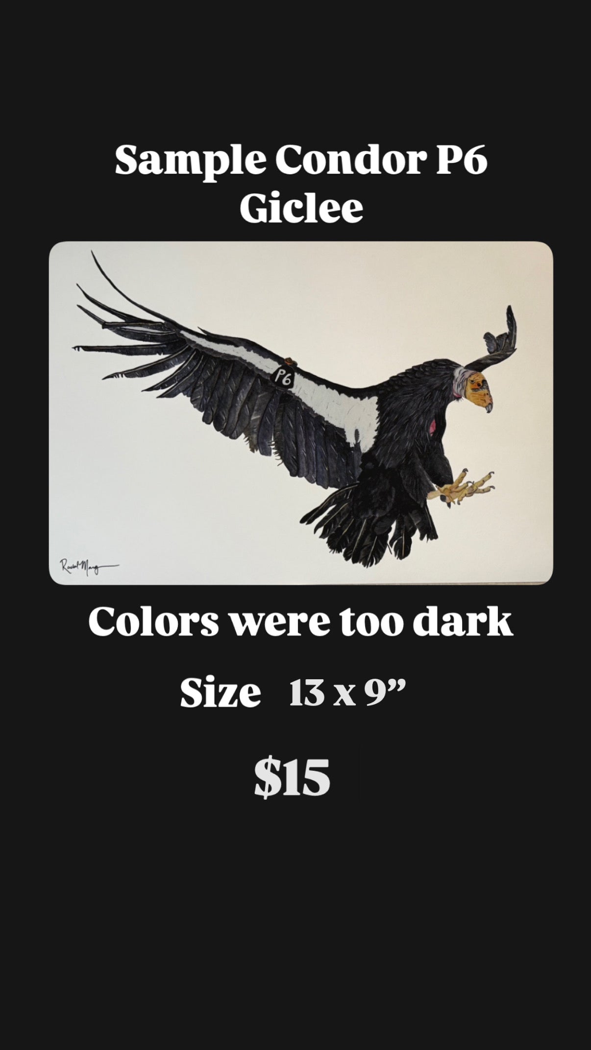 Sample Watercolor Giclee Prints