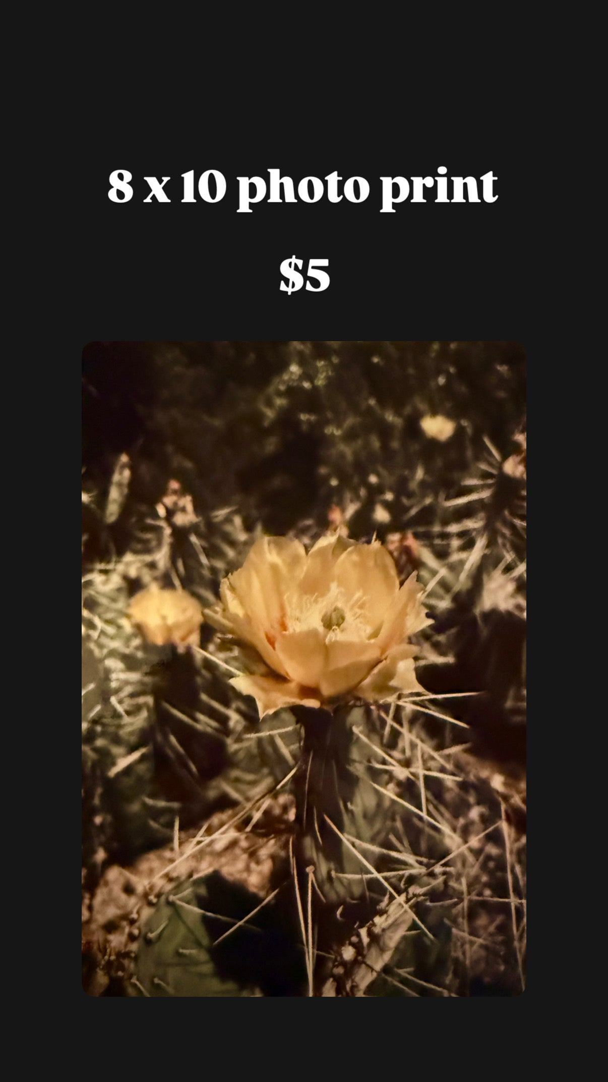 Discontinued Photography Prints