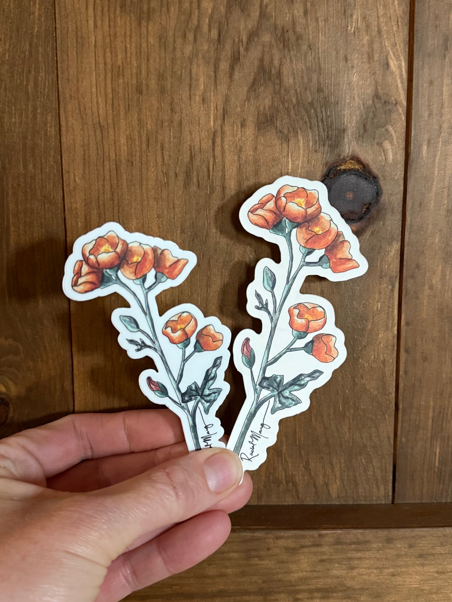 Desert Globemallow Sticker Small