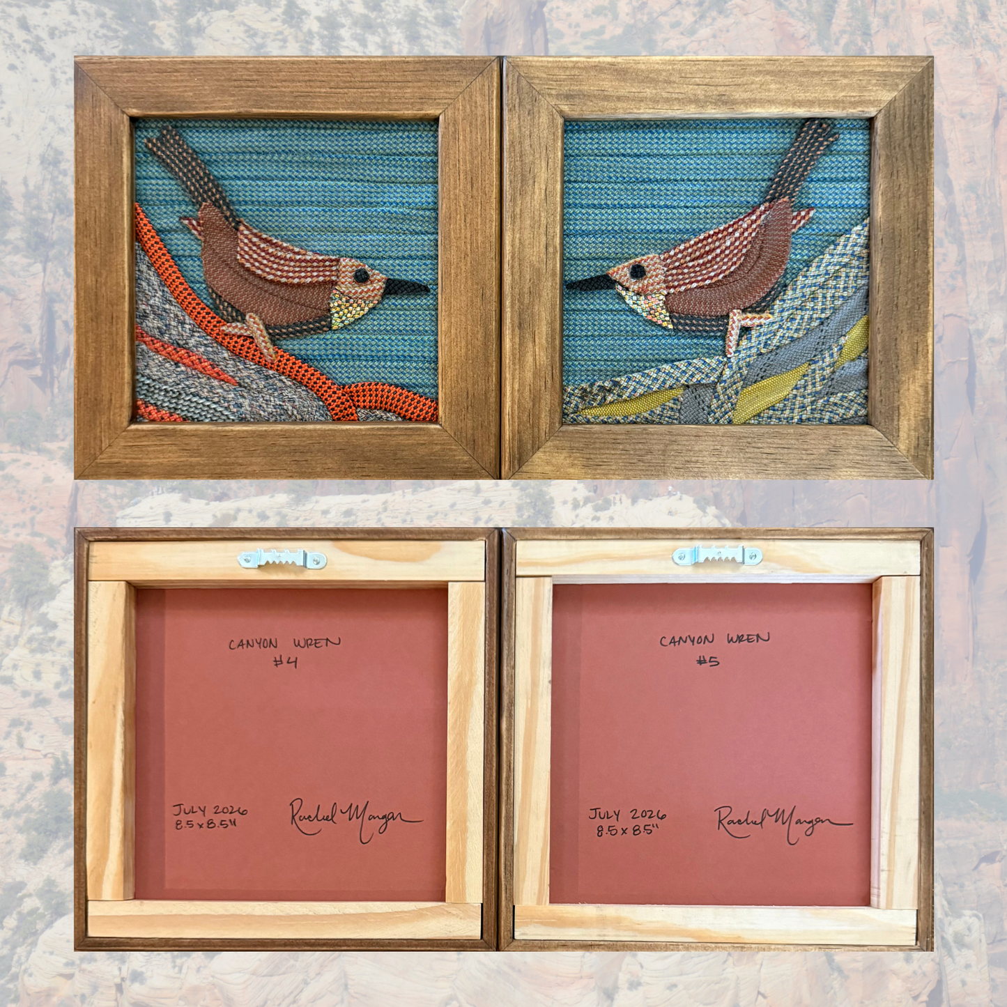 Canyon Wren Rope Art Mini