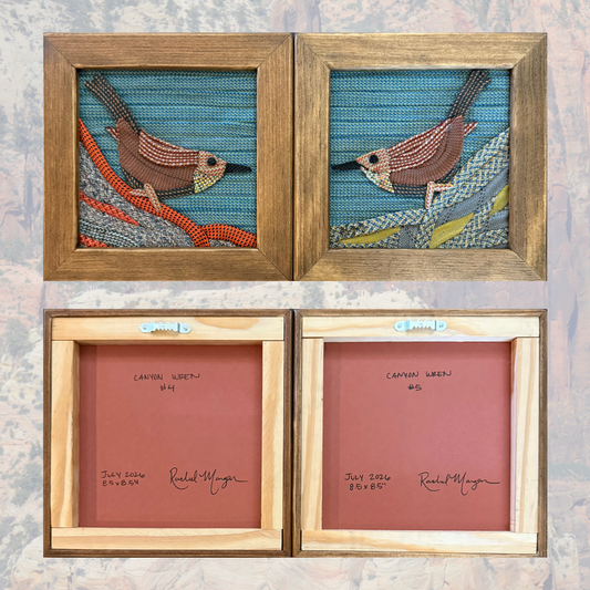 Canyon Wren Rope Art Mini