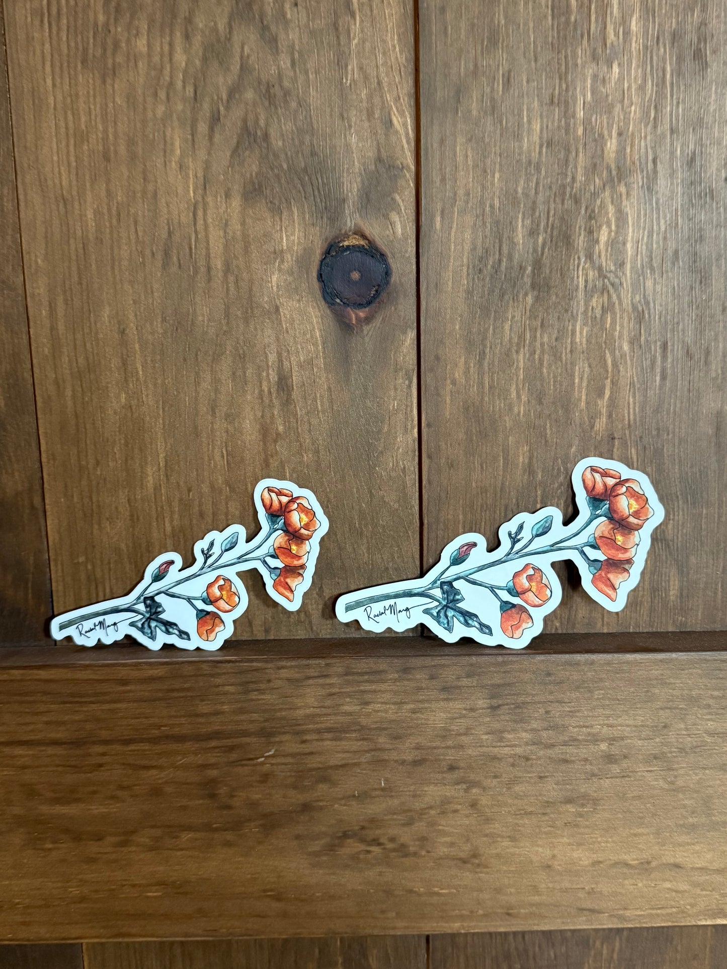 Desert Globemallow Sticker Small