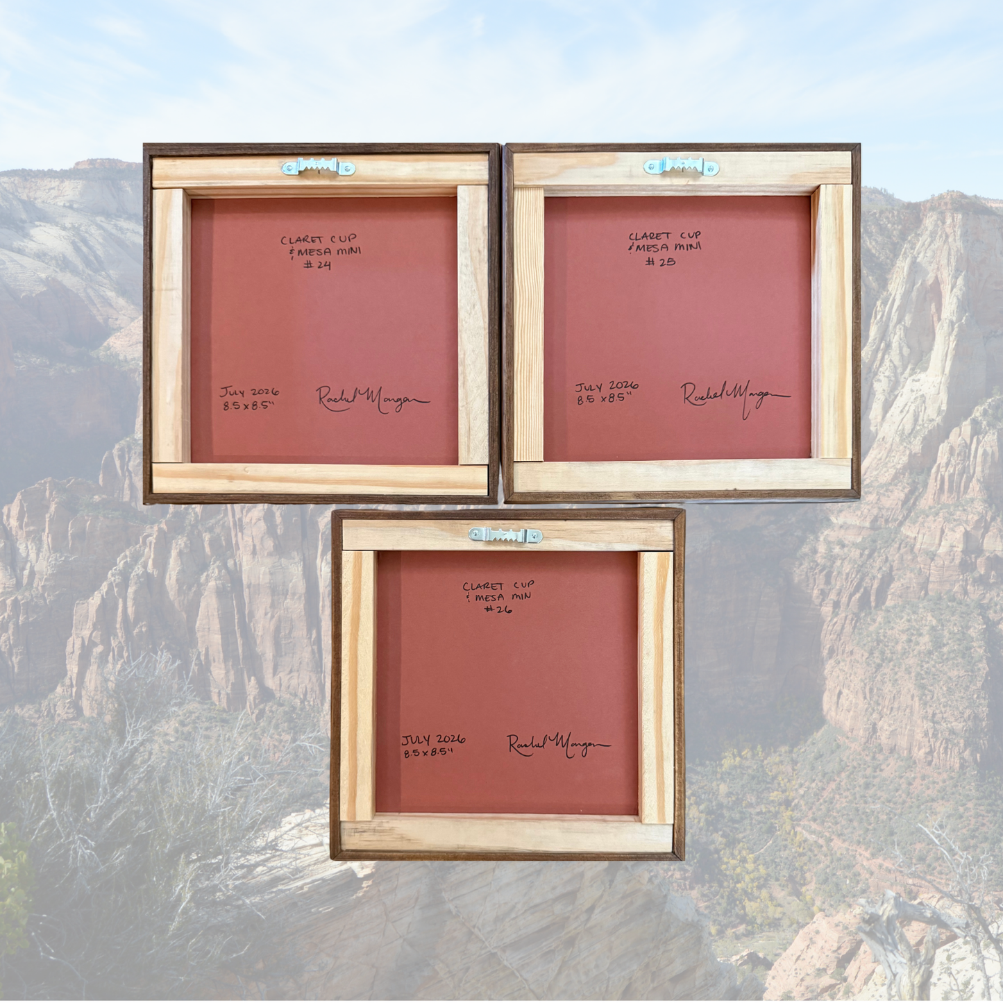 Claret Cup and Mesa Mini Rope Art