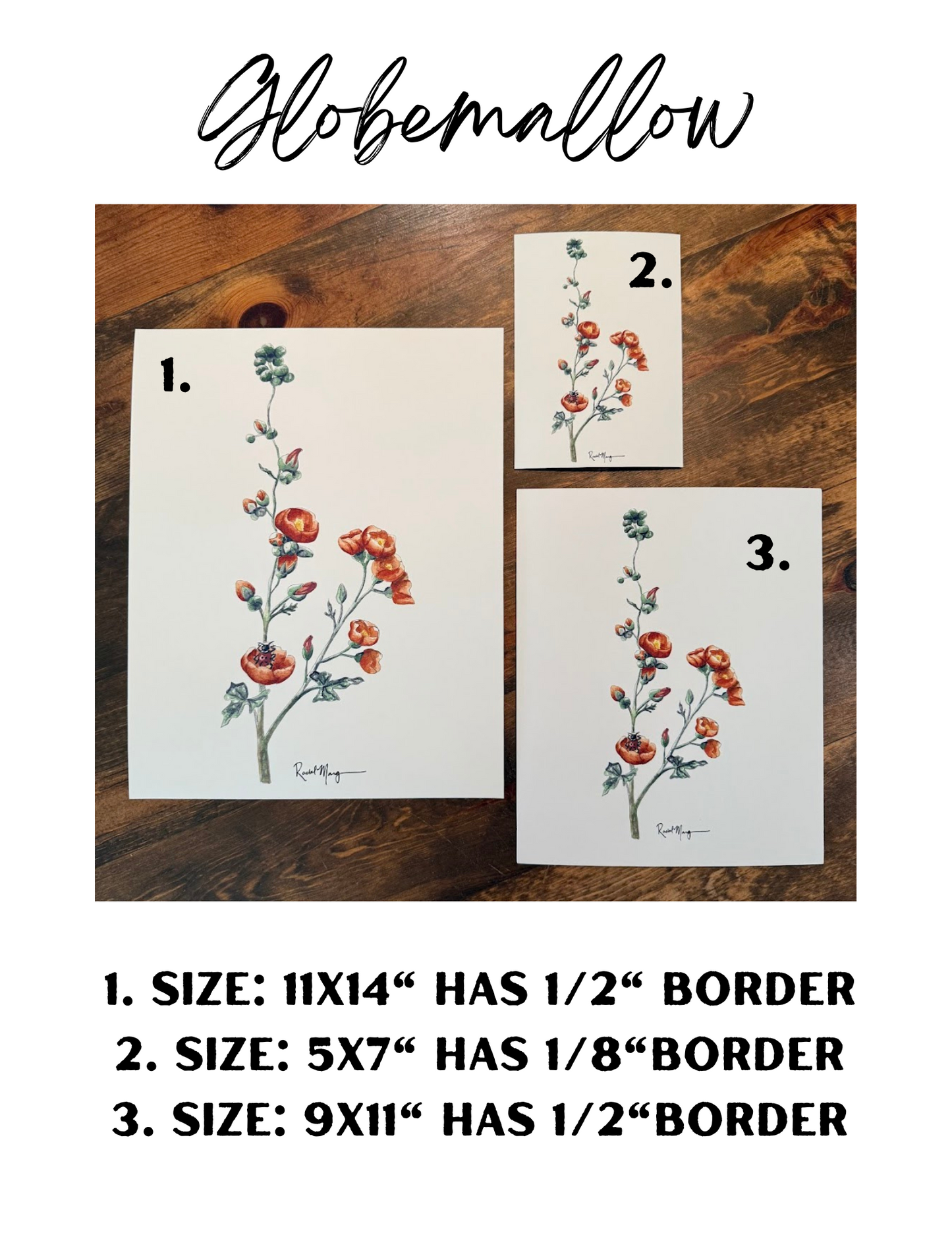 Desert Globemallow Watercolor Giclee
