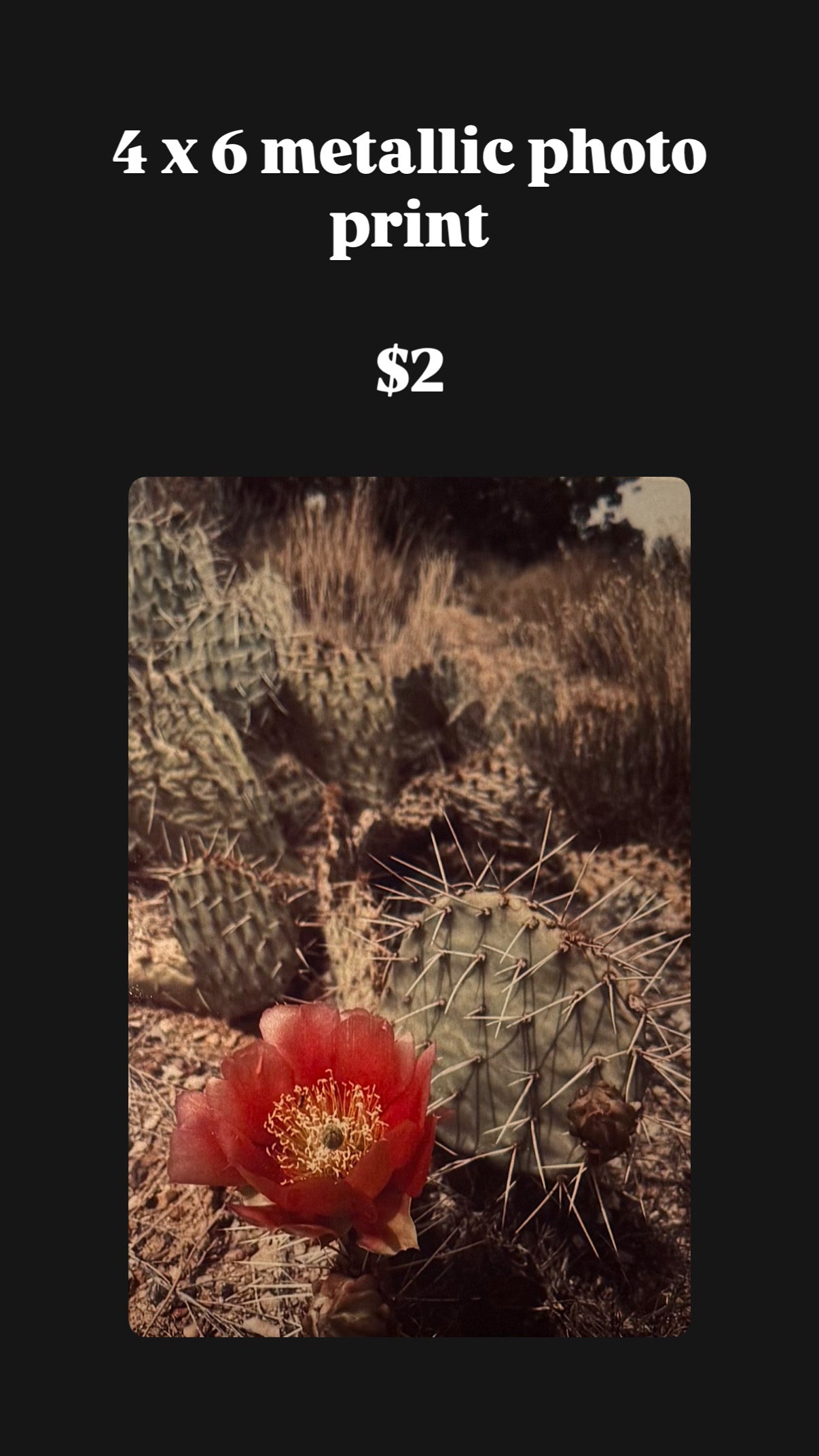 Discontinued Photography Prints