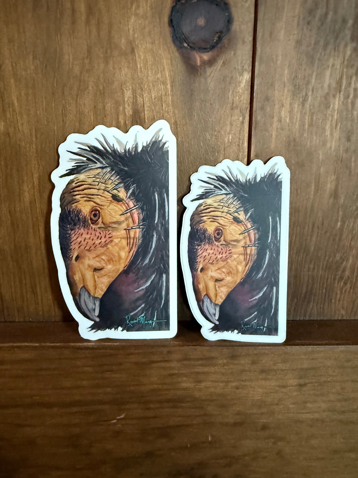 Condor Portrait Sticker