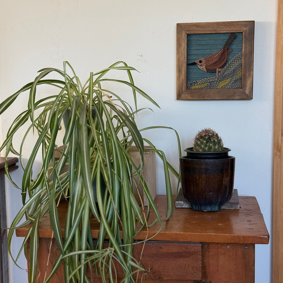 Canyon Wren Rope Art Mini
