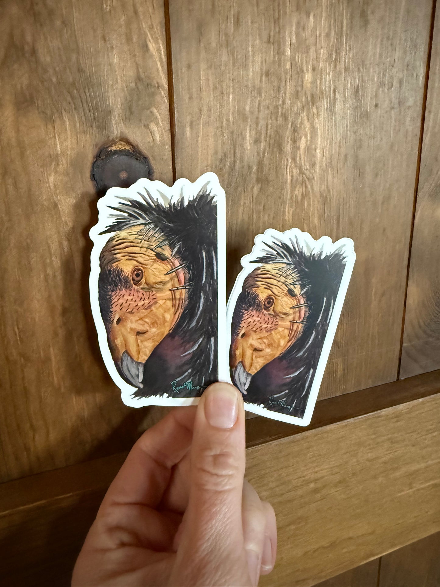 Condor Portrait Sticker