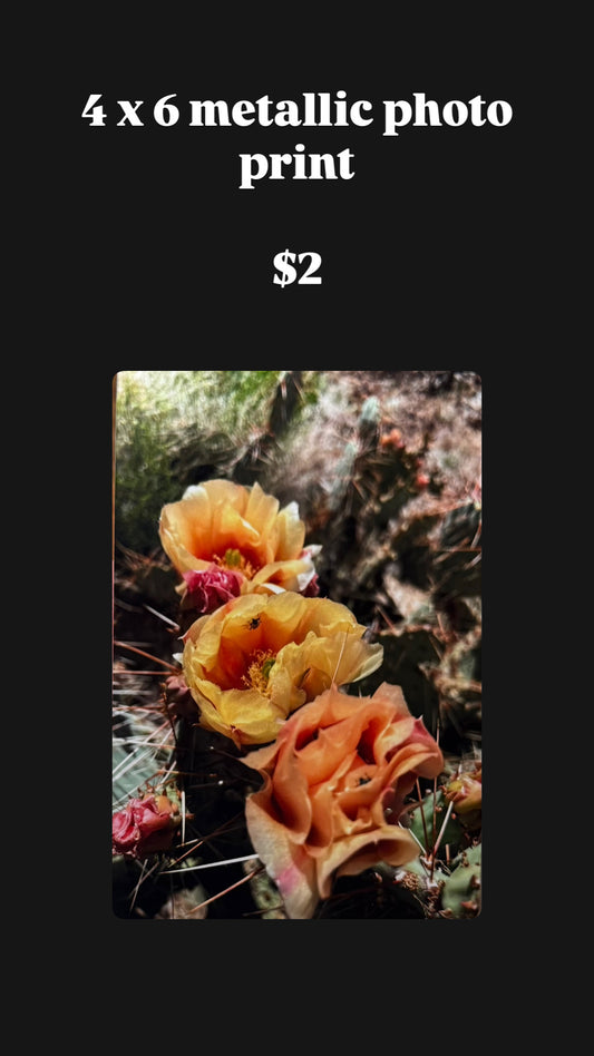 Discontinued Photography Prints