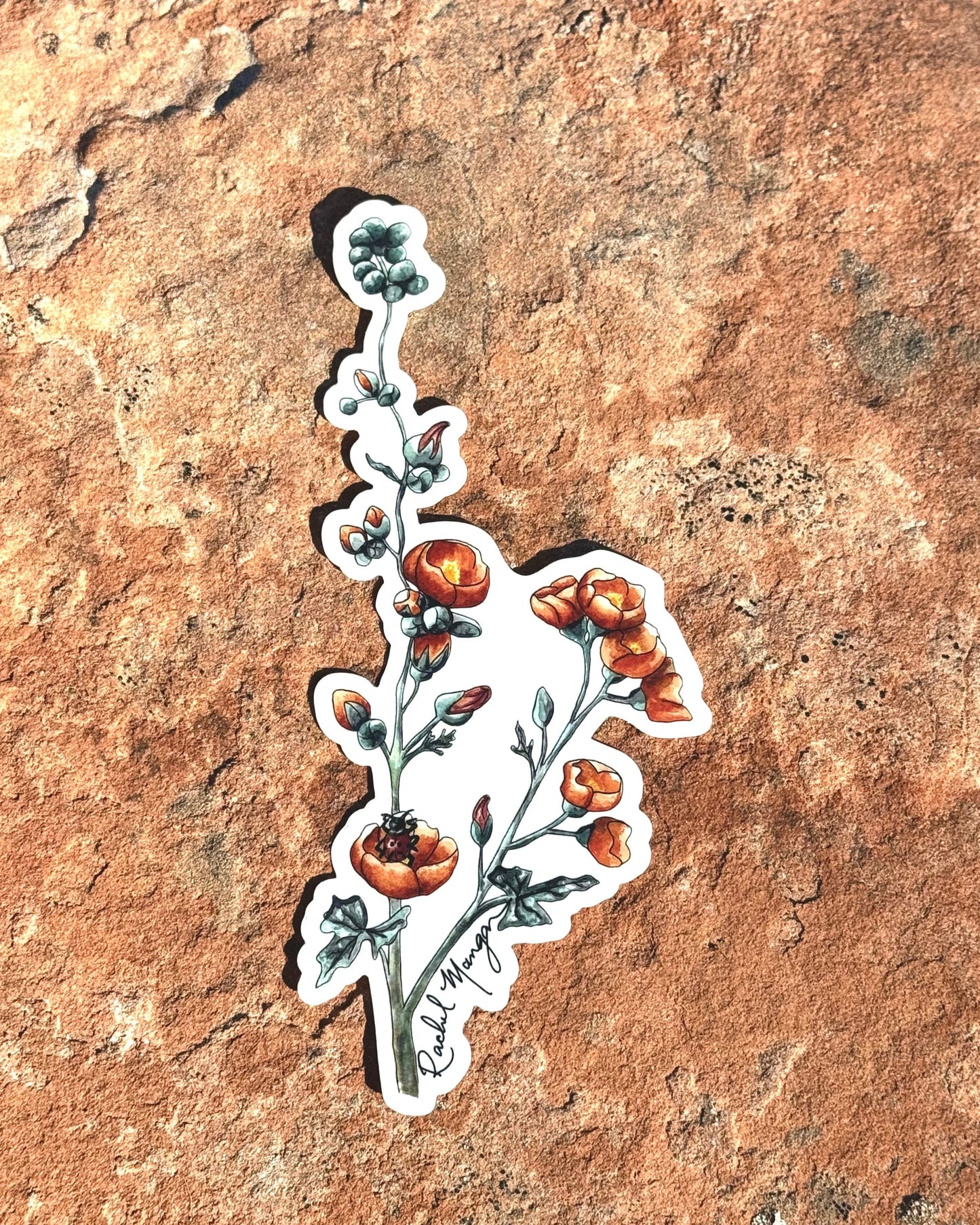 Ultimate Globemallow Bundle