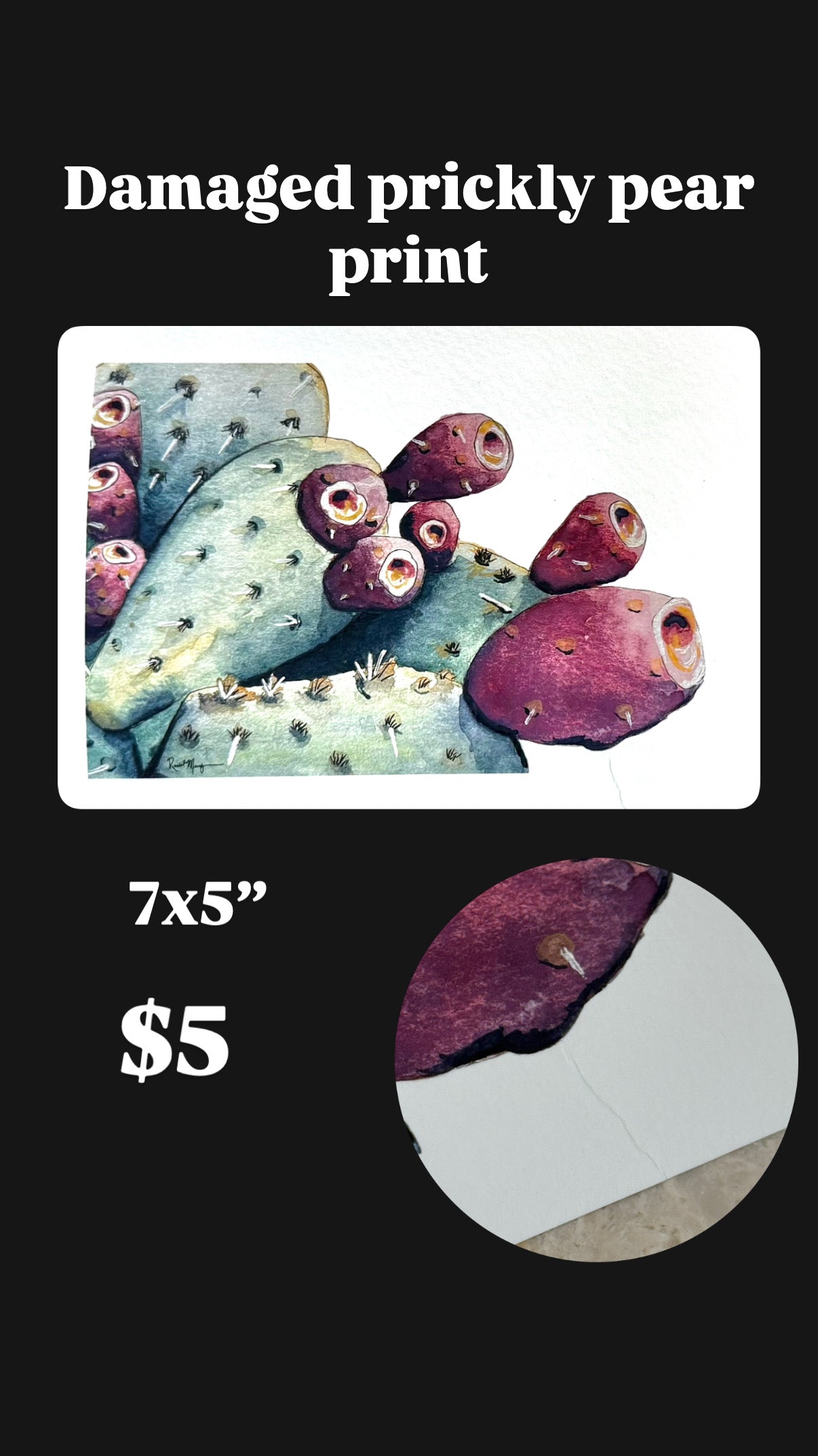Sample Watercolor Giclee Prints