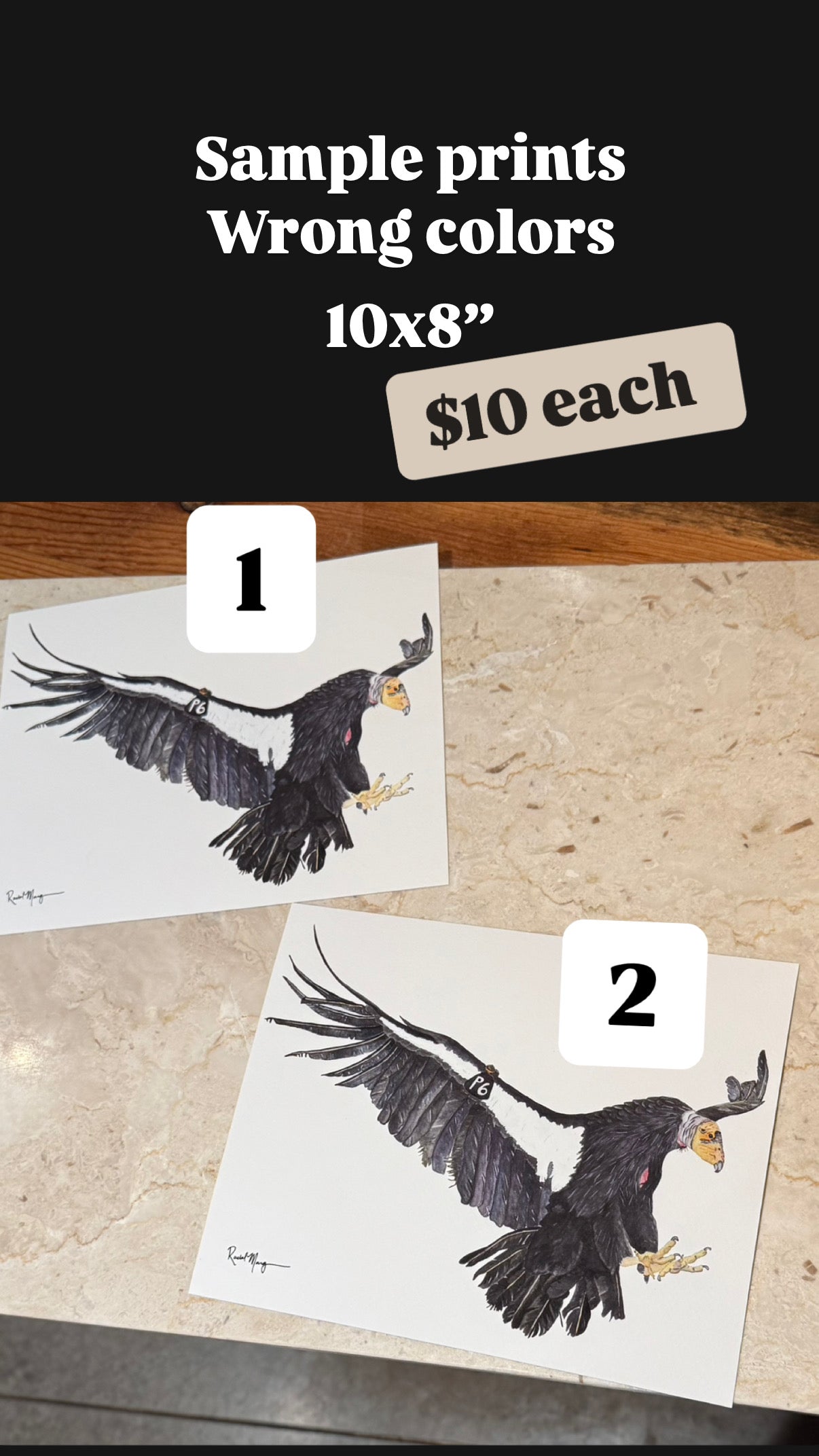 Sample Watercolor Giclee Prints