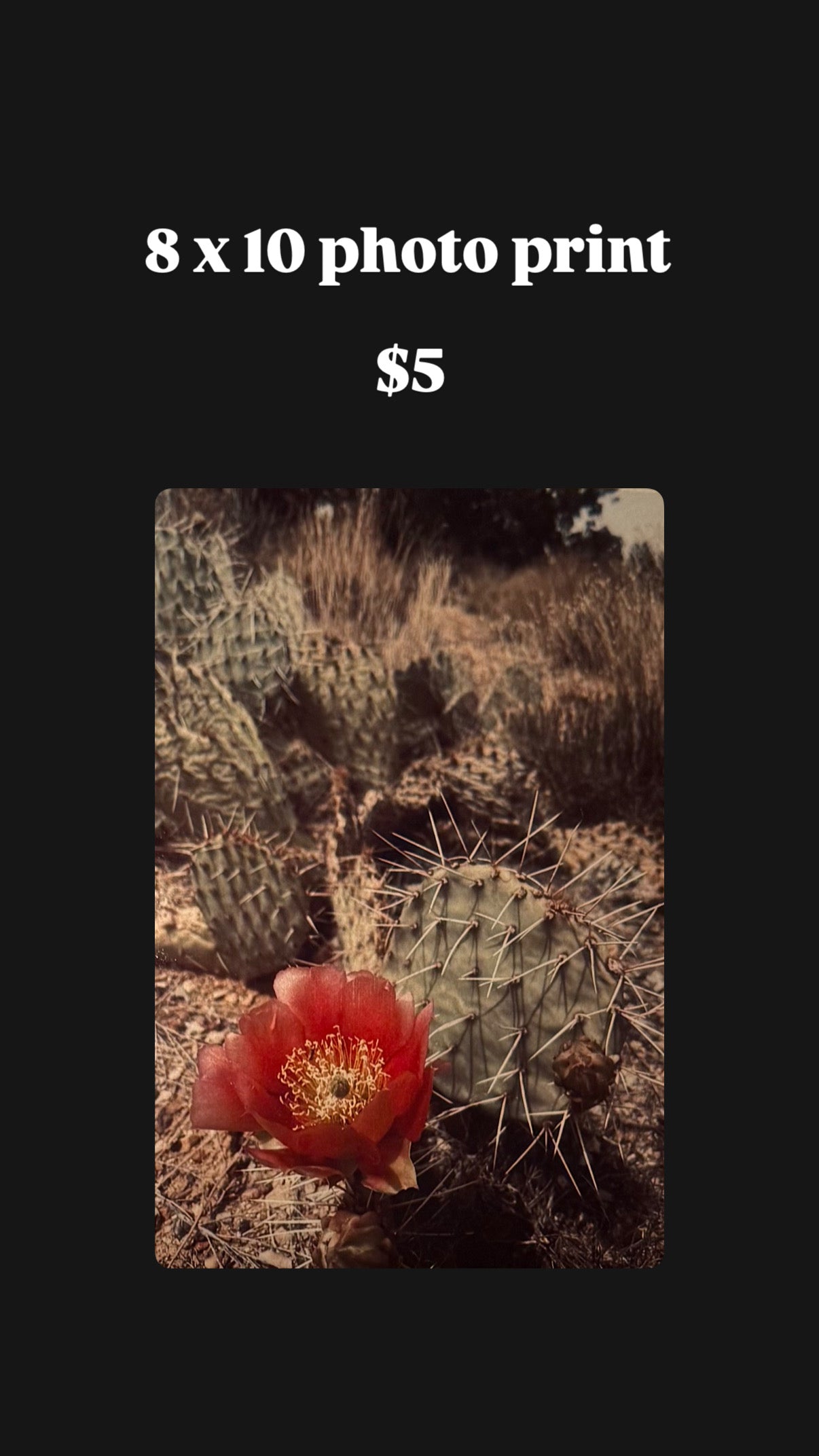 Discontinued Photography Prints