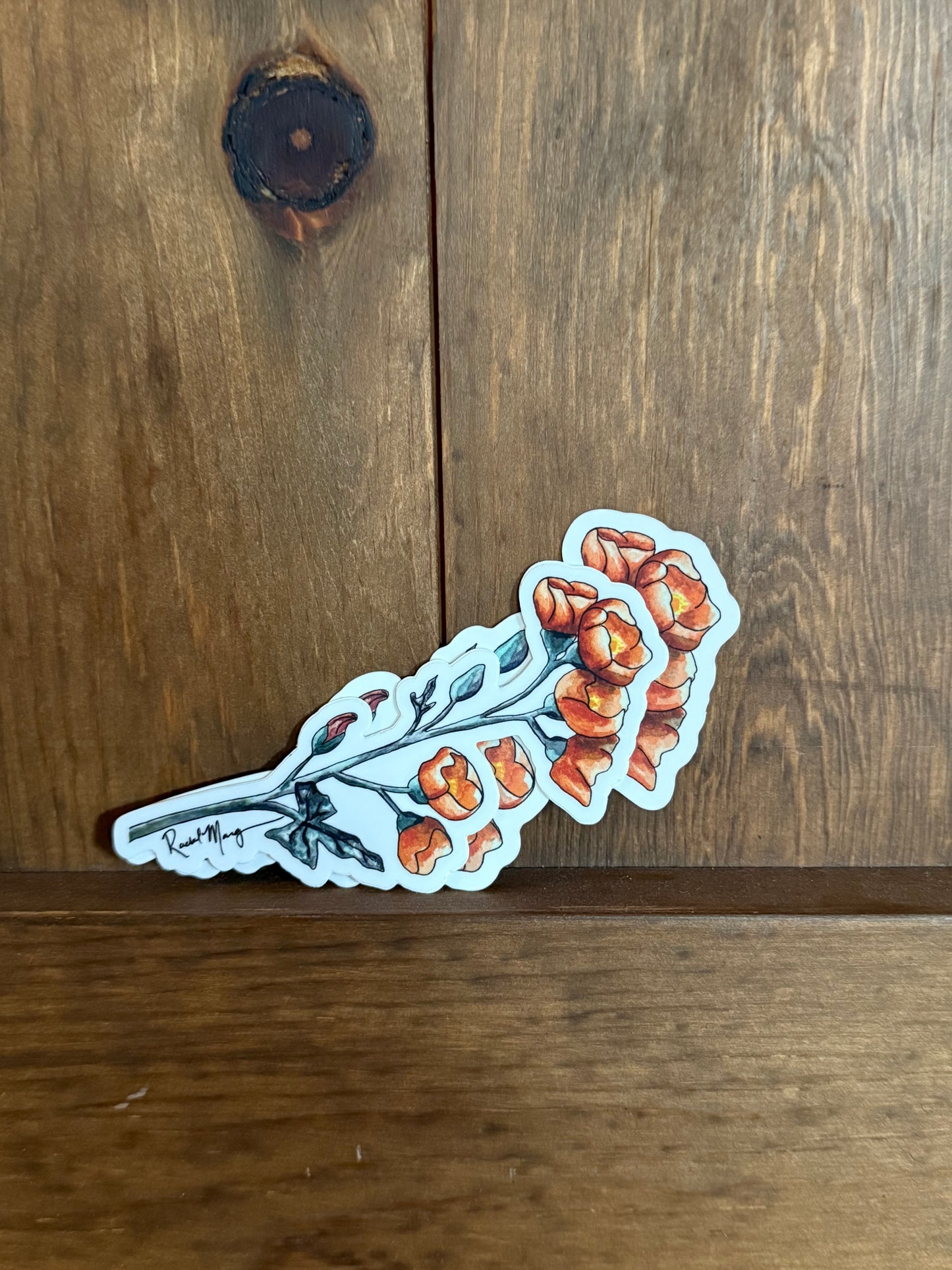 Desert Globemallow Sticker Small