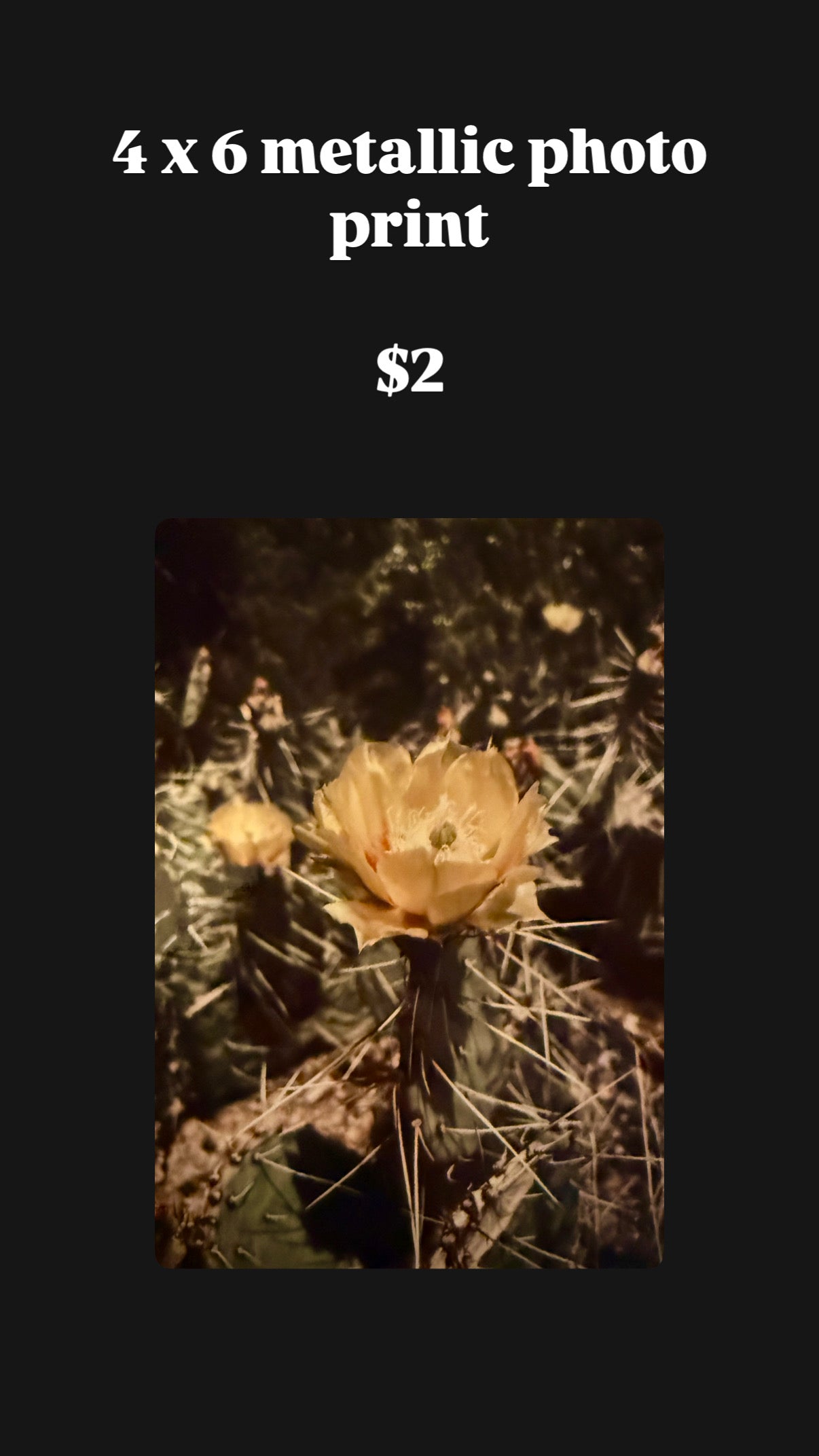 Discontinued Photography Prints