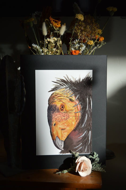Condor Portrait Giclee
