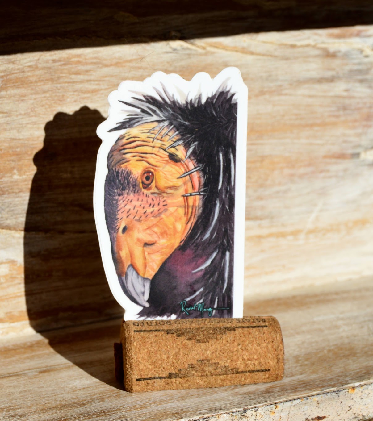 Condor Portrait Sticker