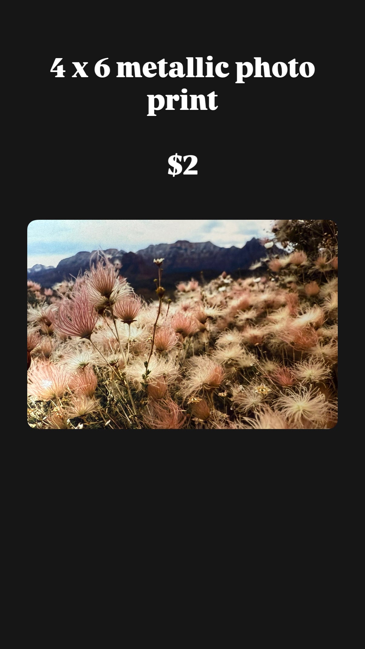 Discontinued Photography Prints