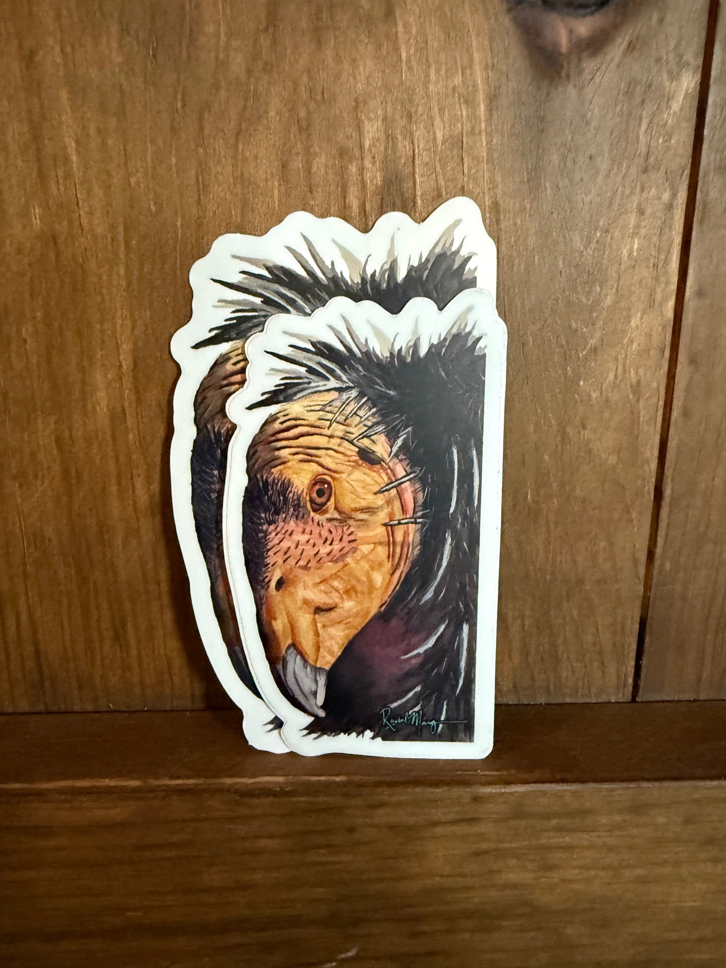 Condor Portrait Sticker