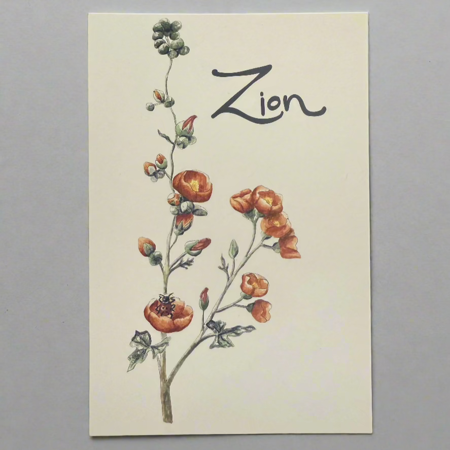 Globemallow Postcard