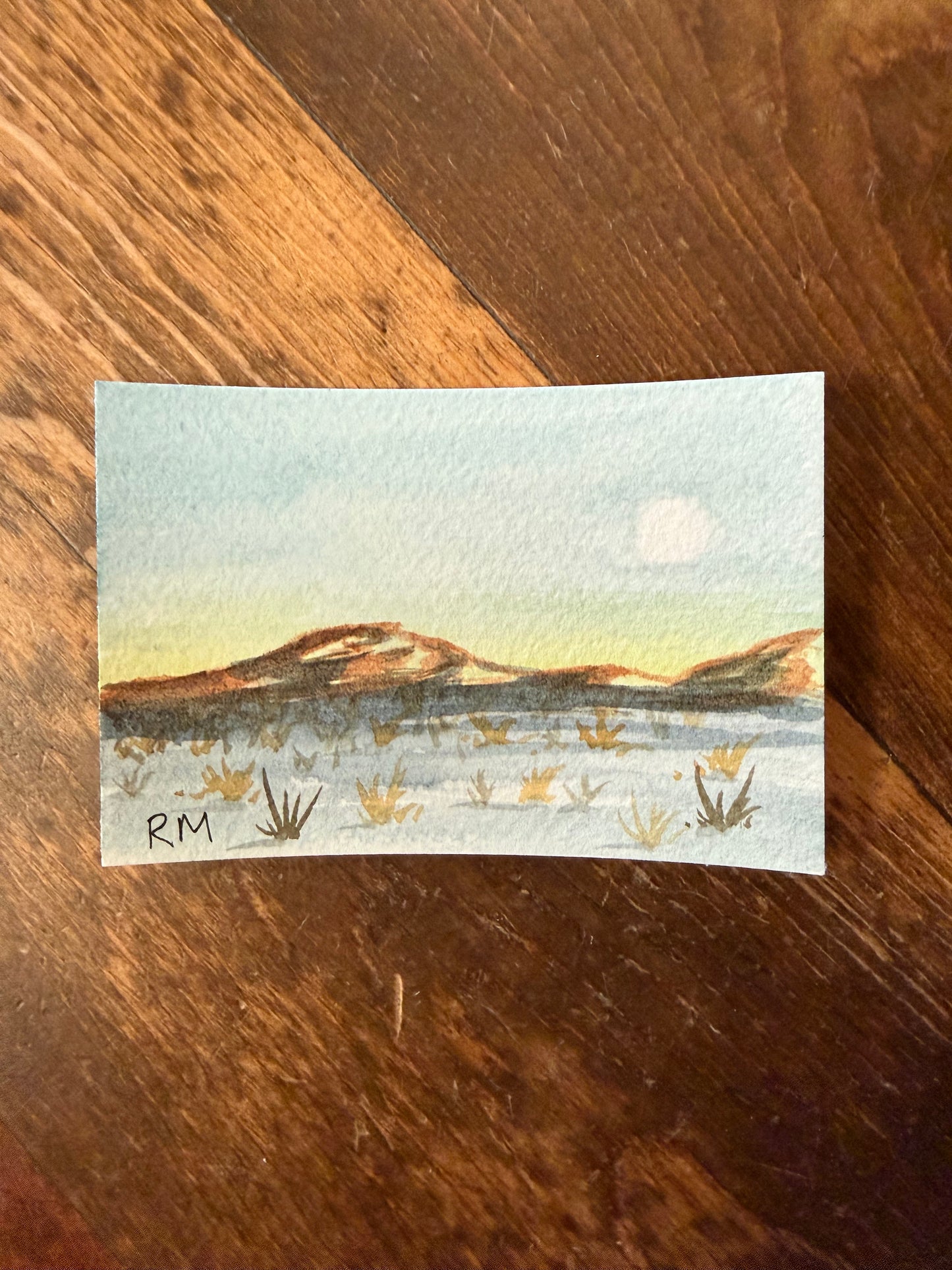 Original Watercolors
