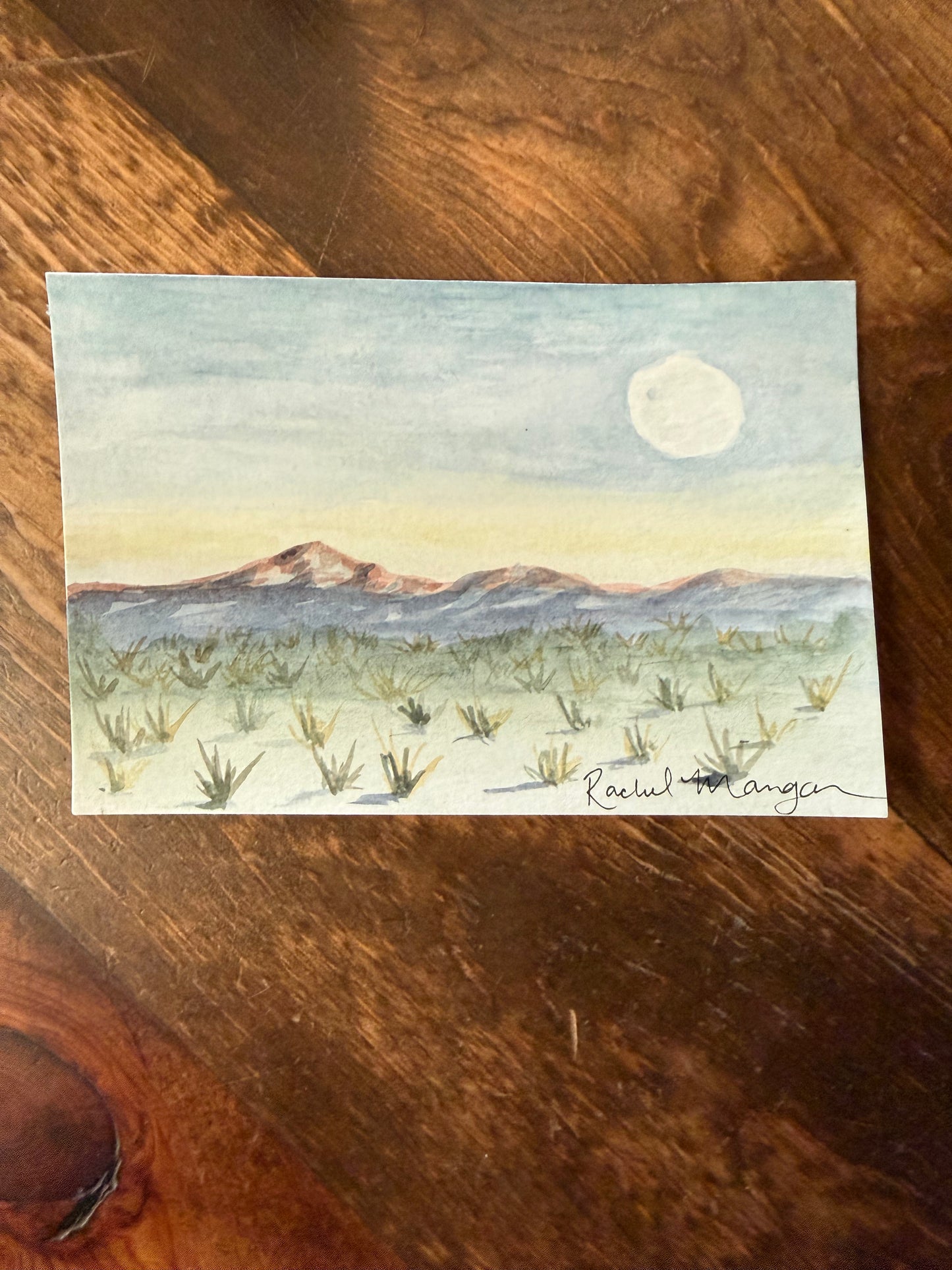 Original Watercolors