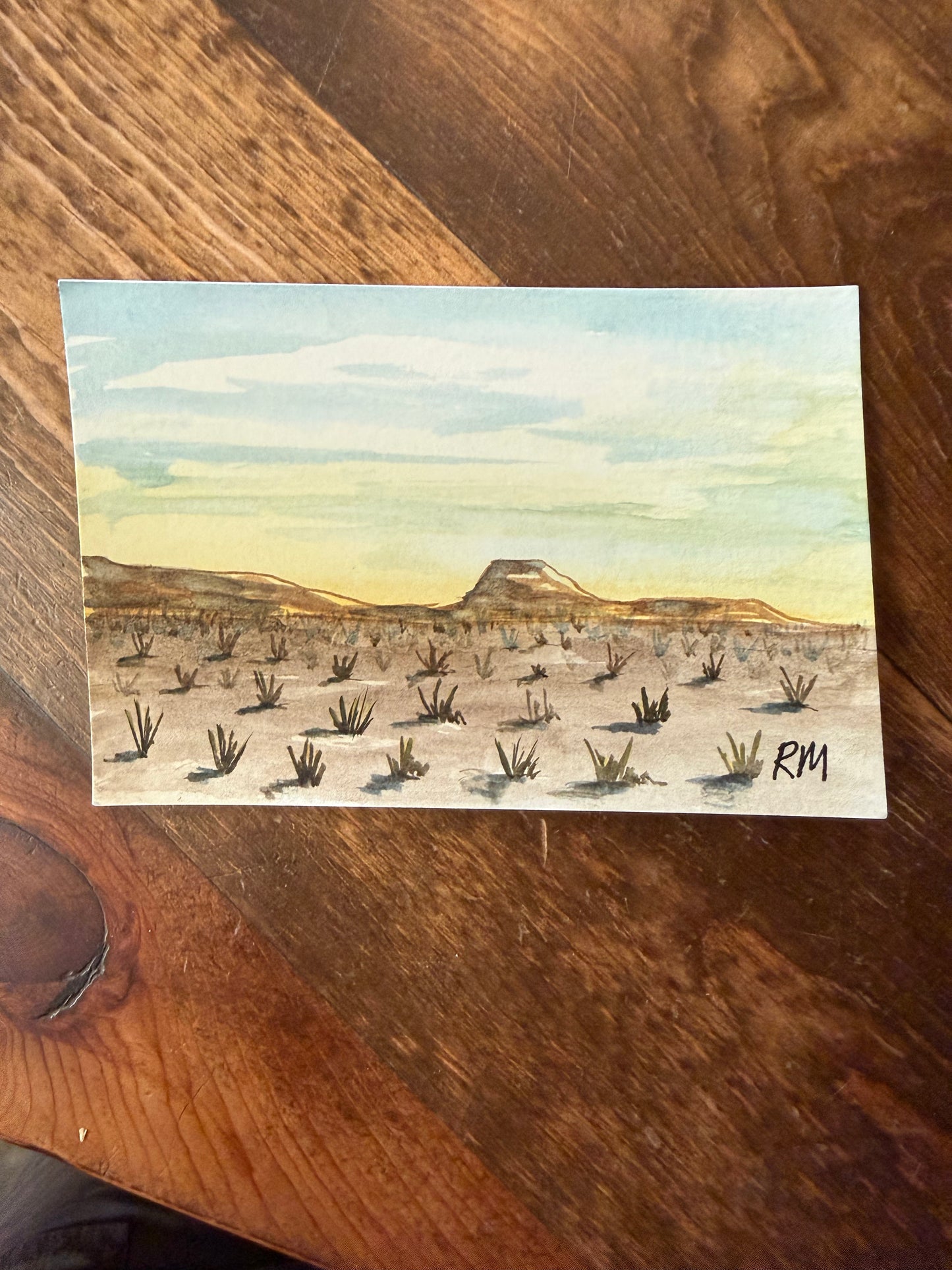 Original Watercolors