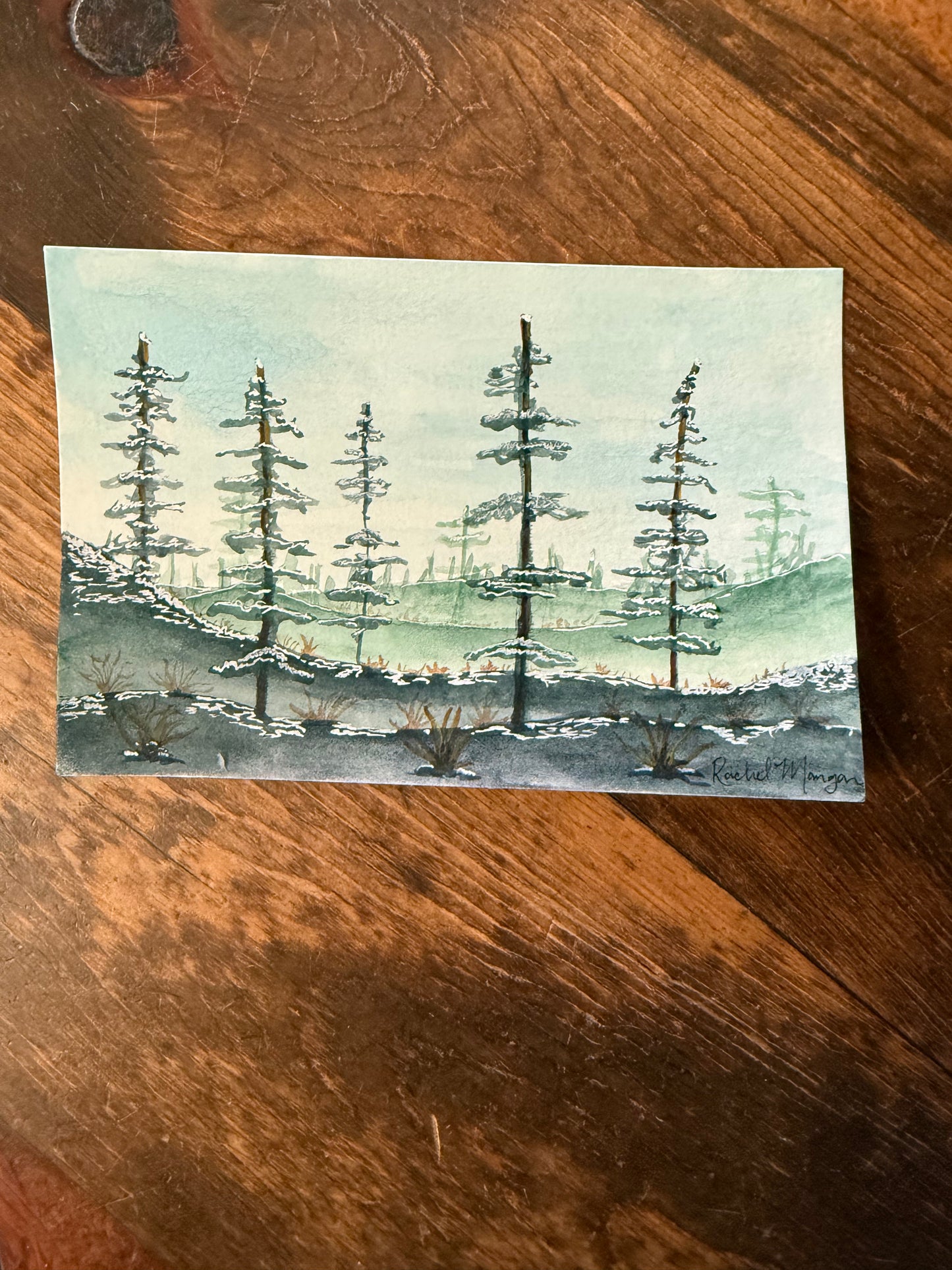 Original Watercolors