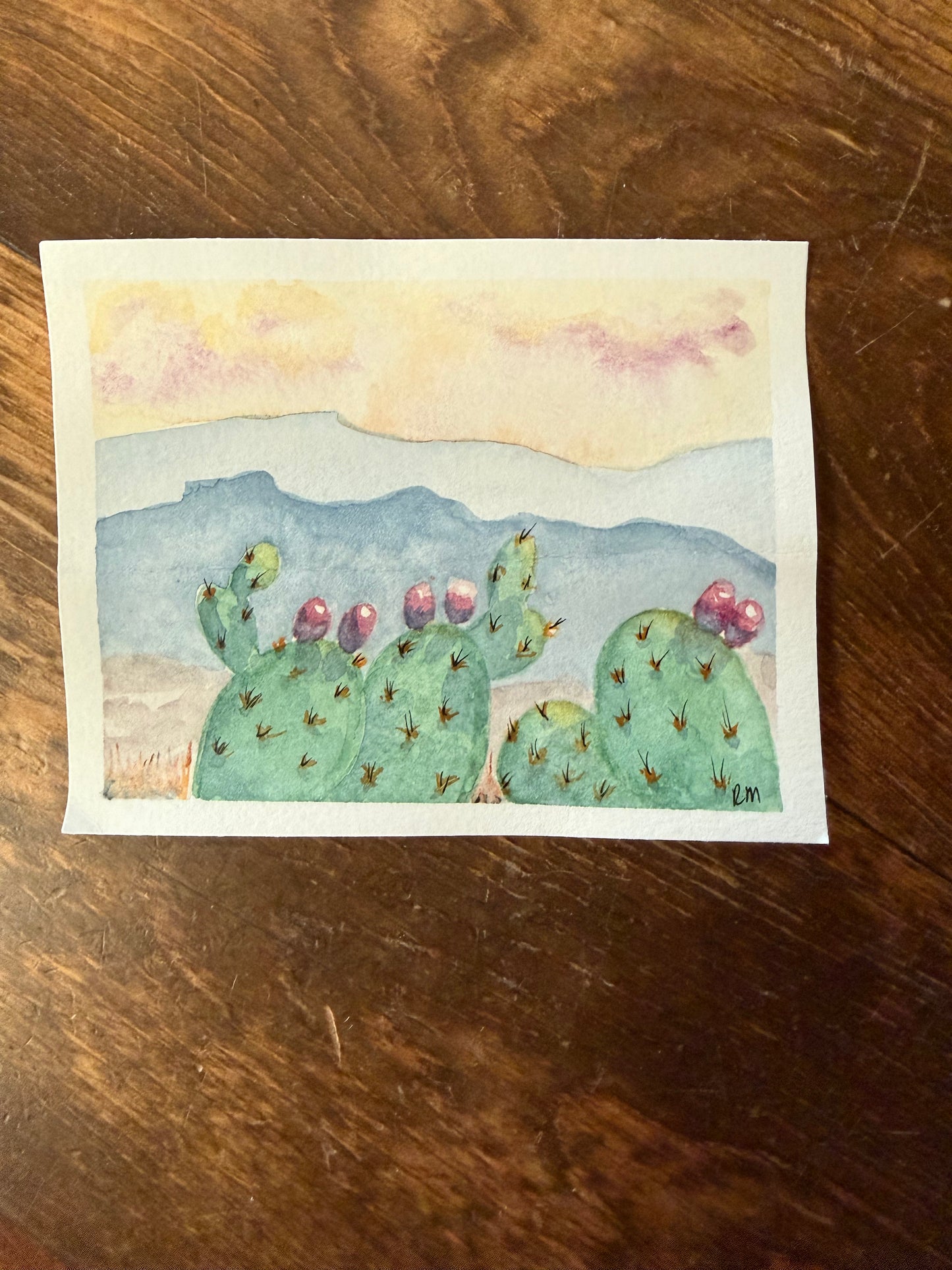 Original Watercolors