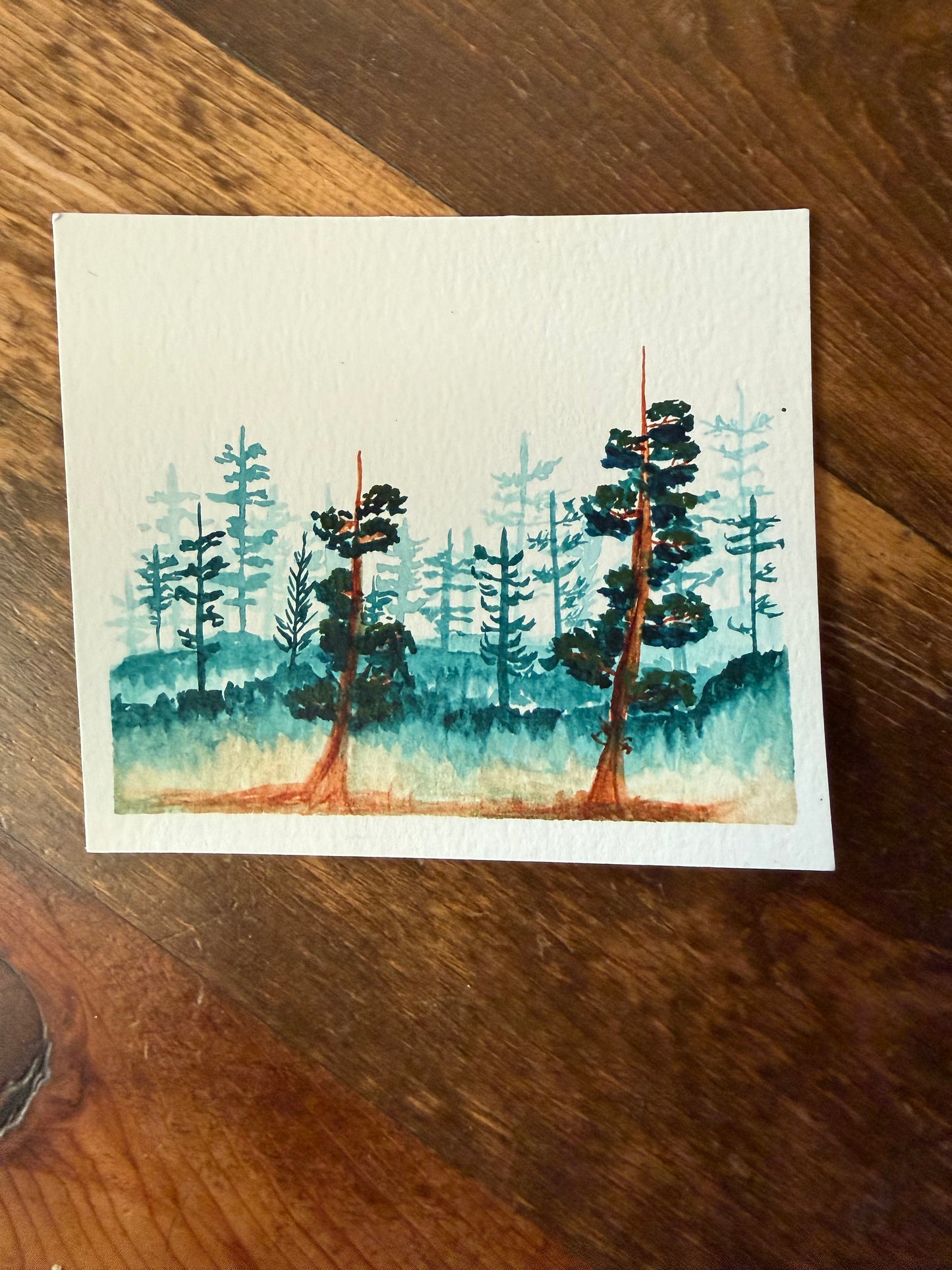 Original Watercolors
