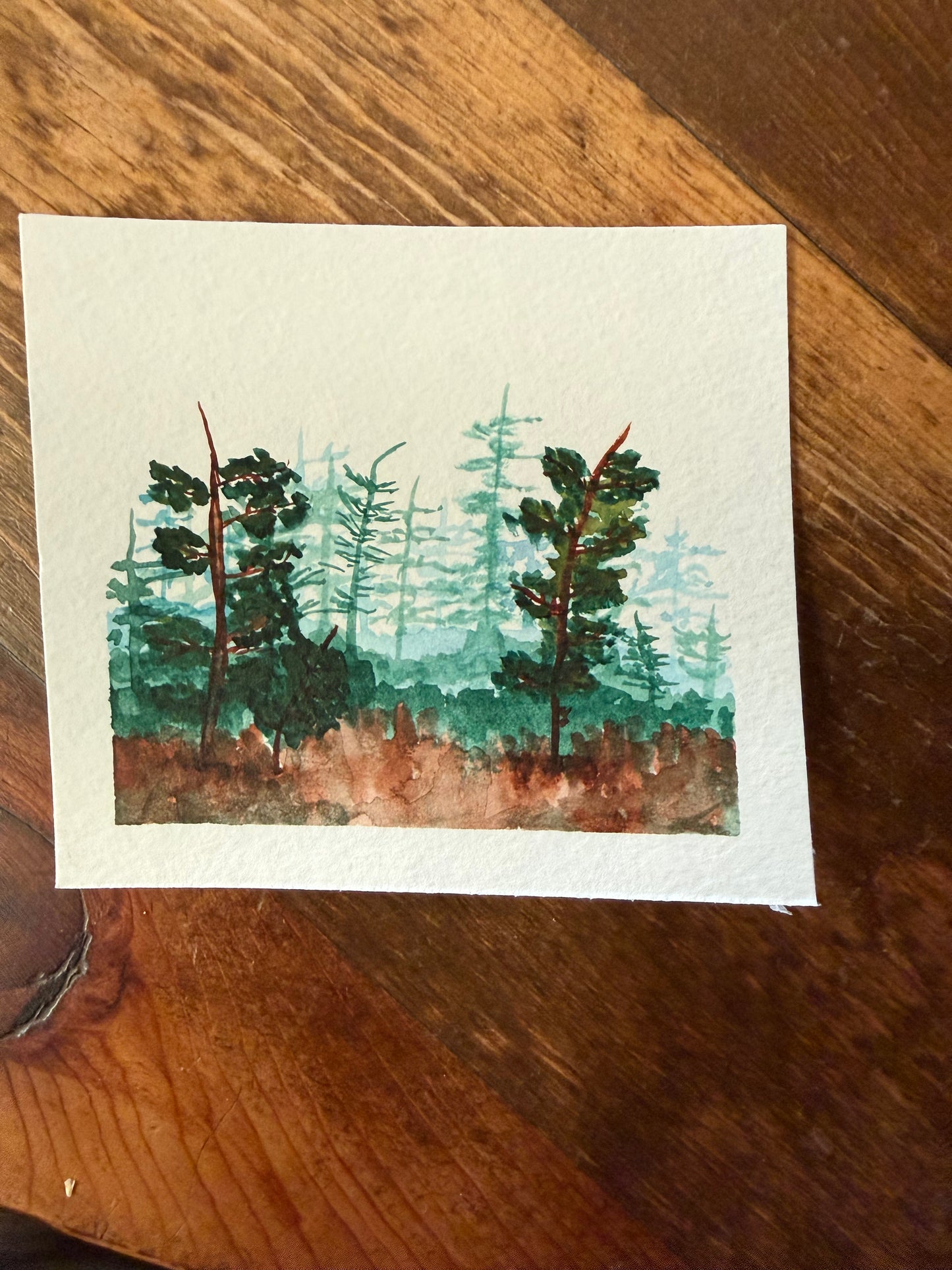 Original Watercolors