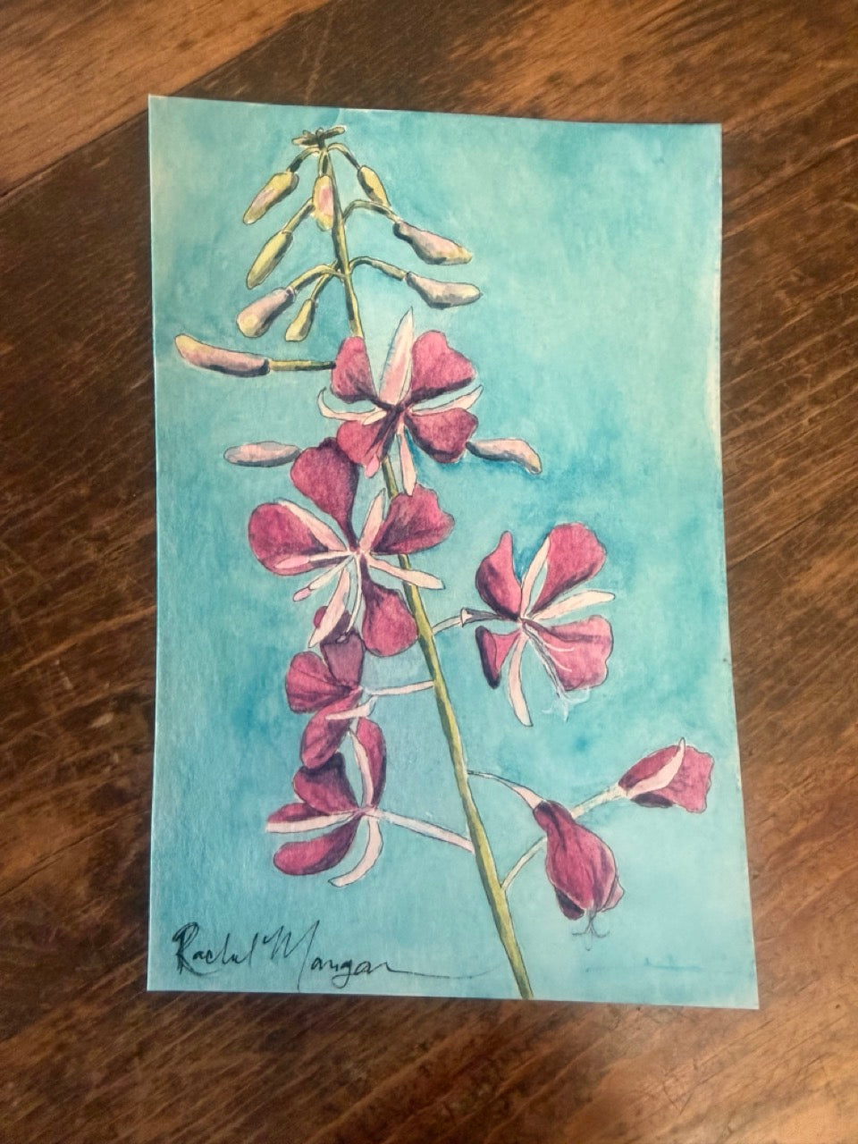 Original Watercolors
