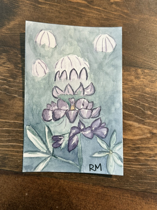 Original Watercolors