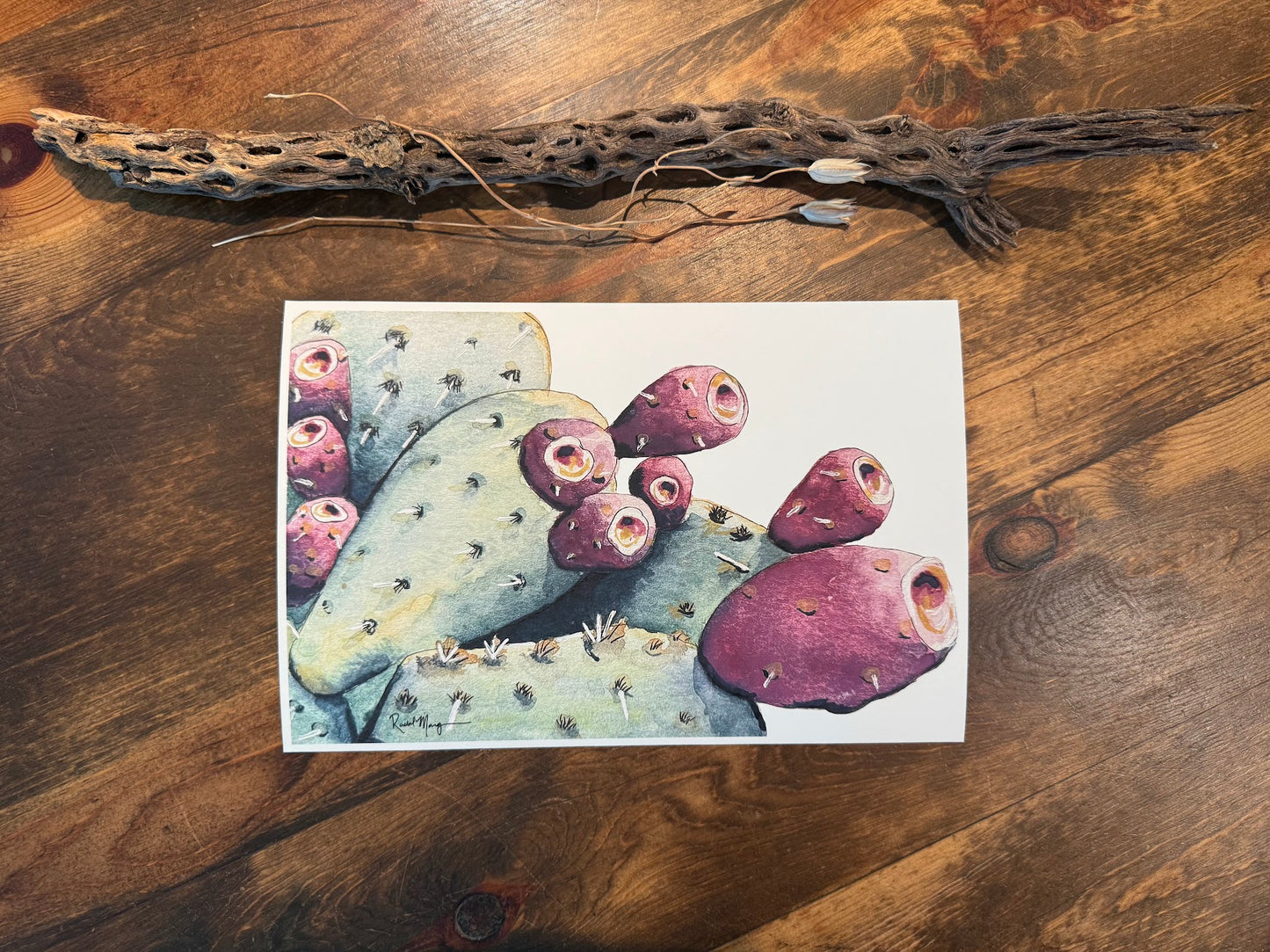 Prickly Pear Fruit Watercolor Giclee