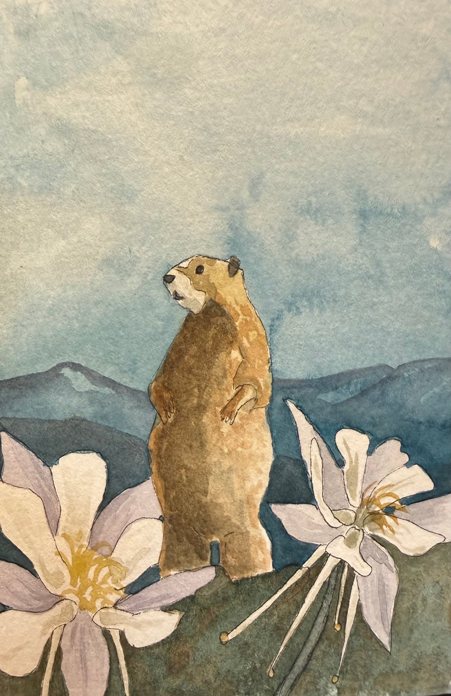 Original Watercolors