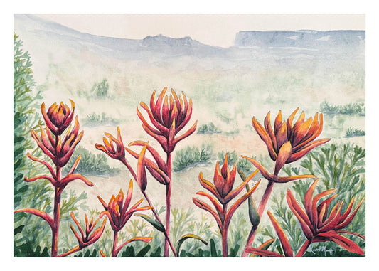 First Blooms in the Desert