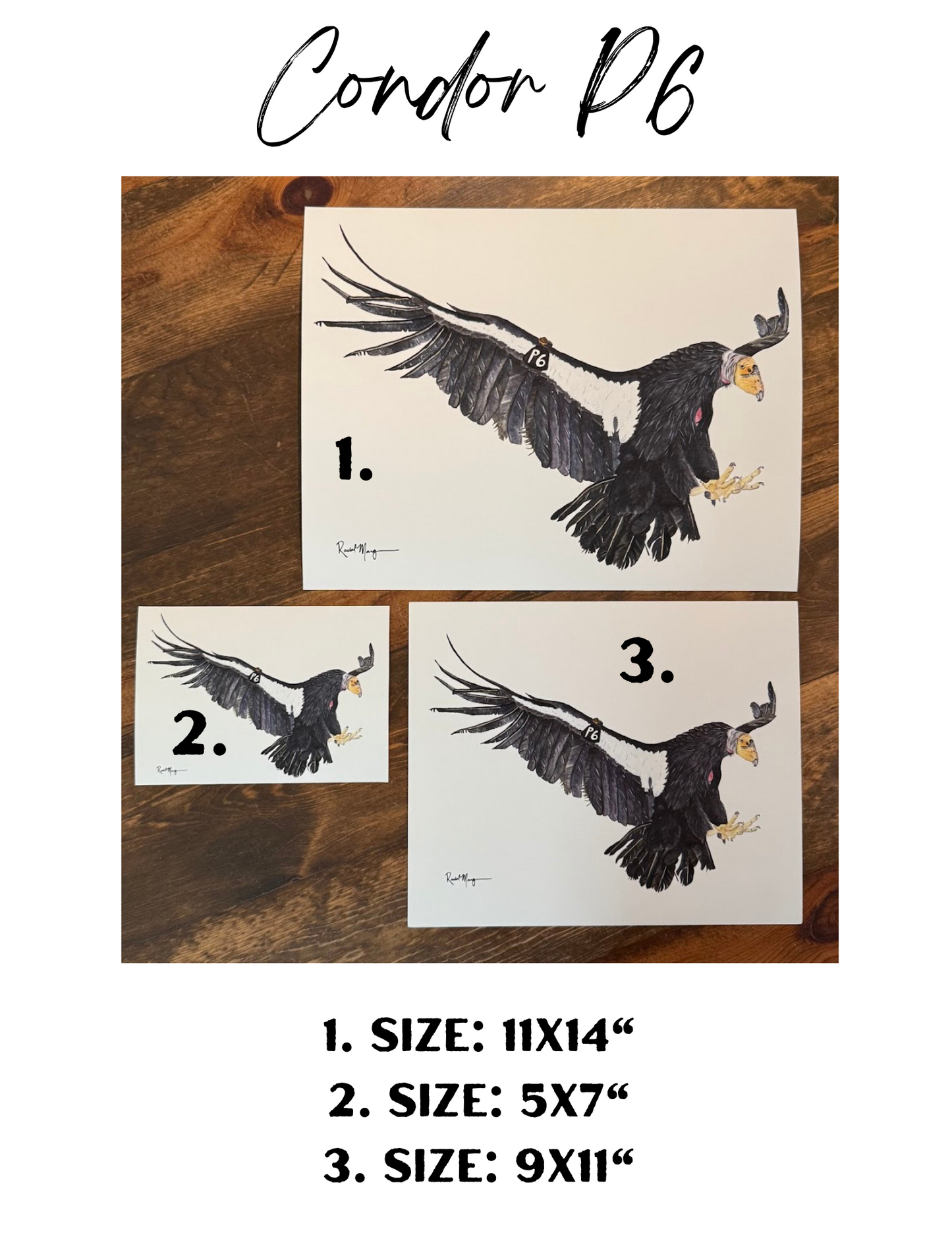 Condor P6 Watercolor Giclee